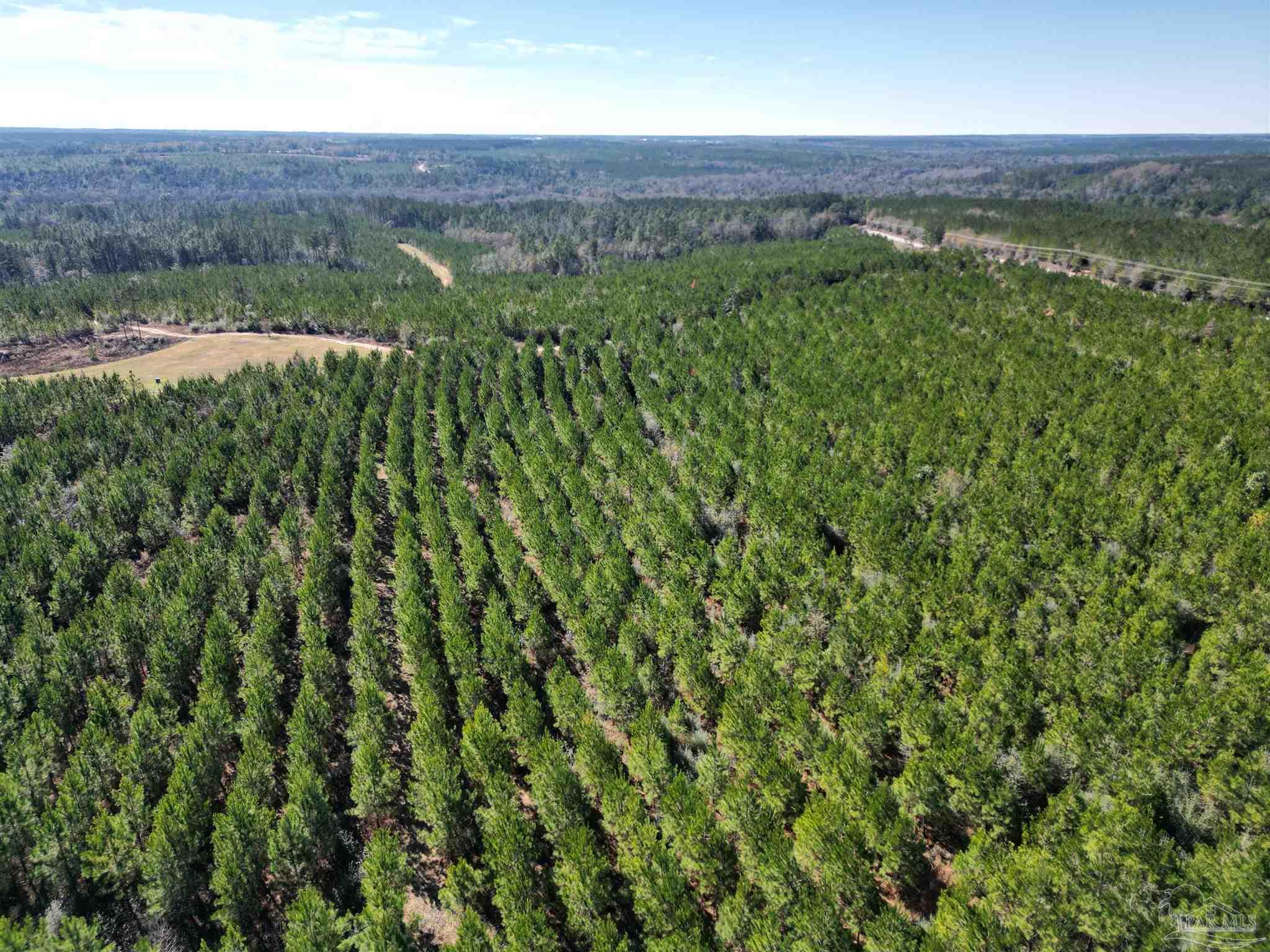 04 Robinsonville Rd