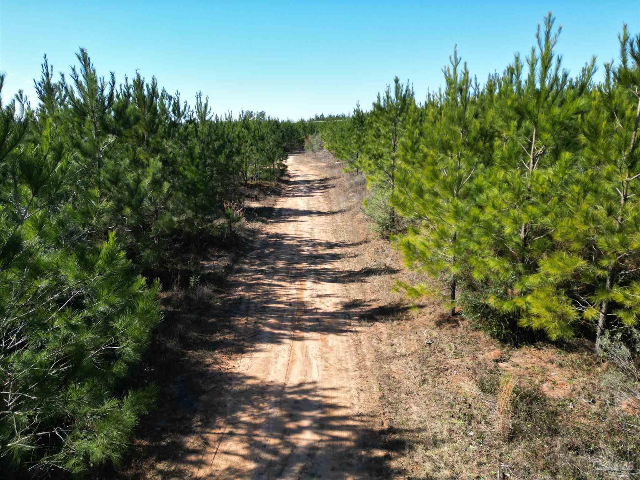 04 Robinsonville Rd