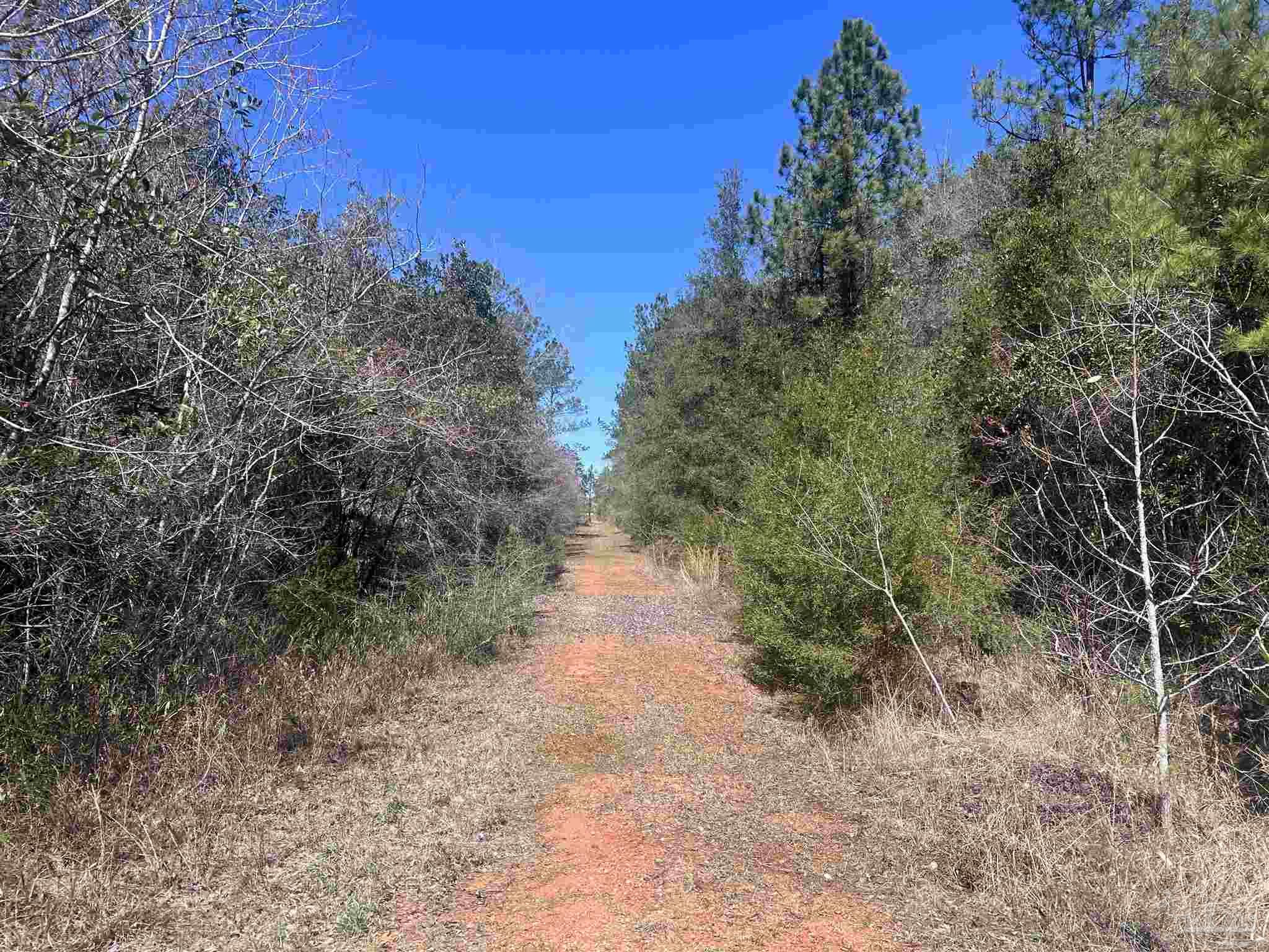 8 Robinsonville Rd