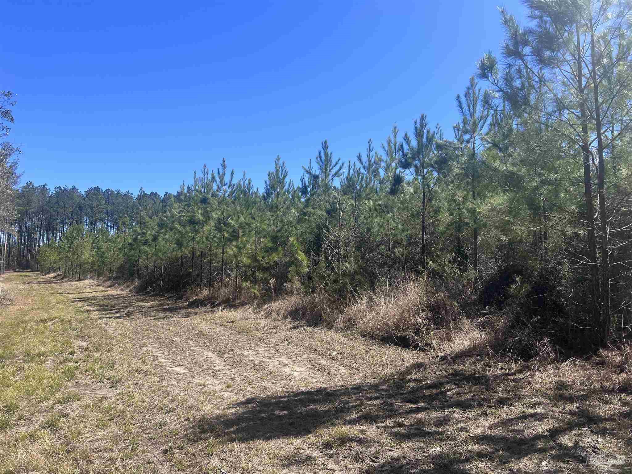 7 Robinsonville Rd