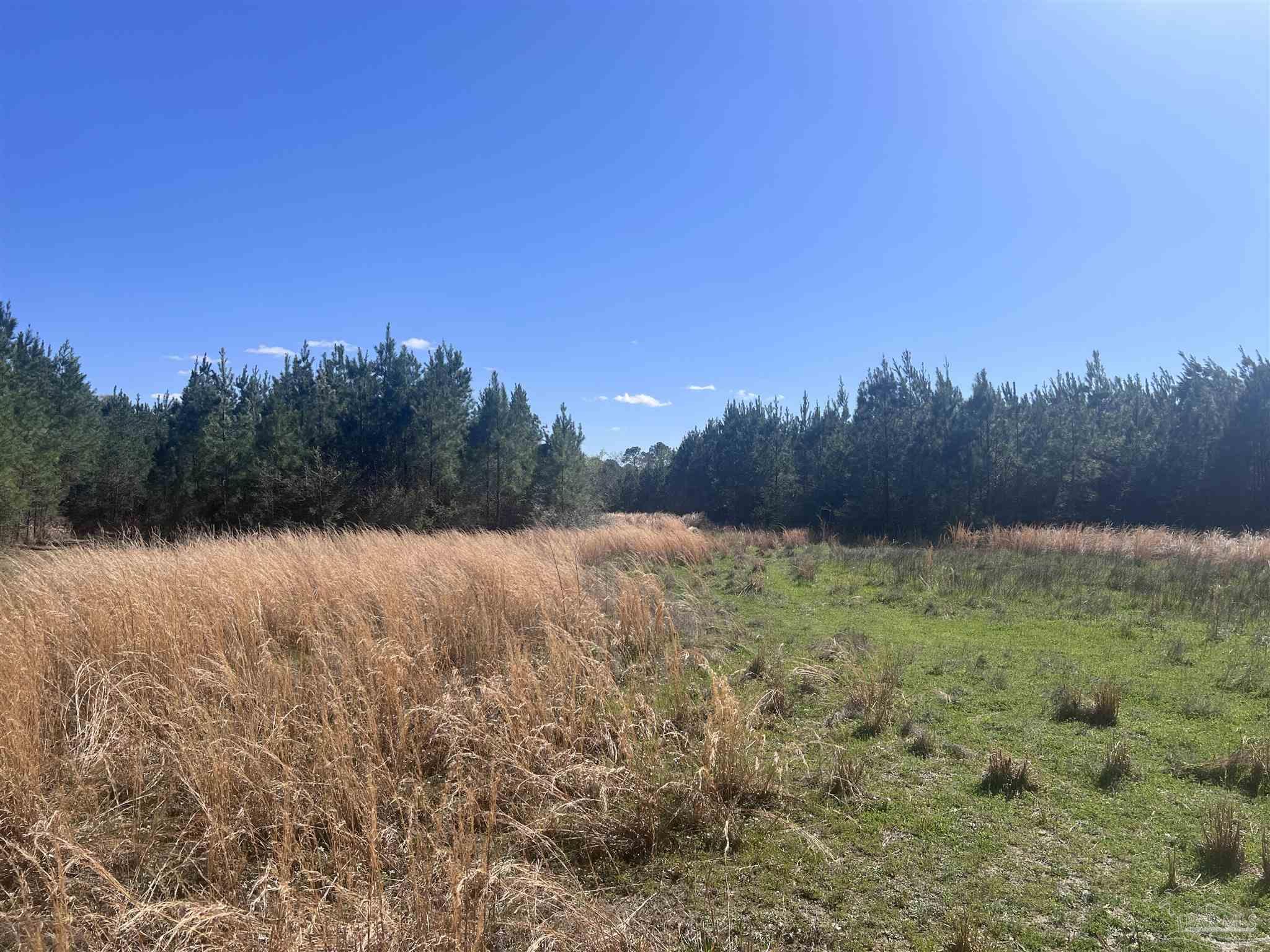 00 Upper Creek Rd