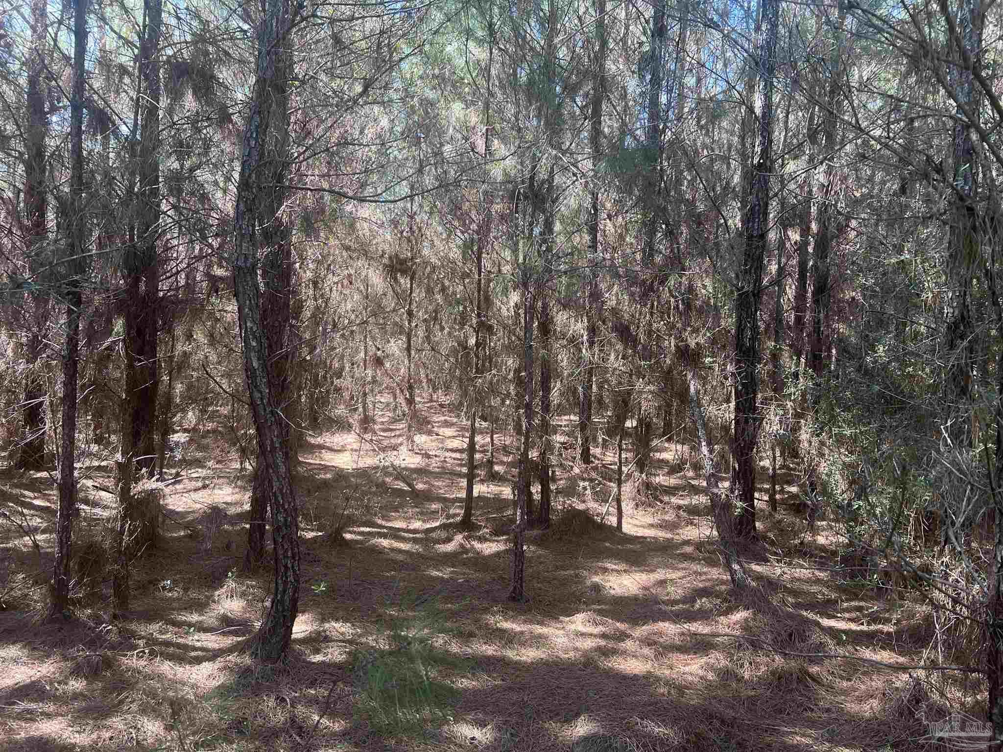 00 Upper Creek Rd