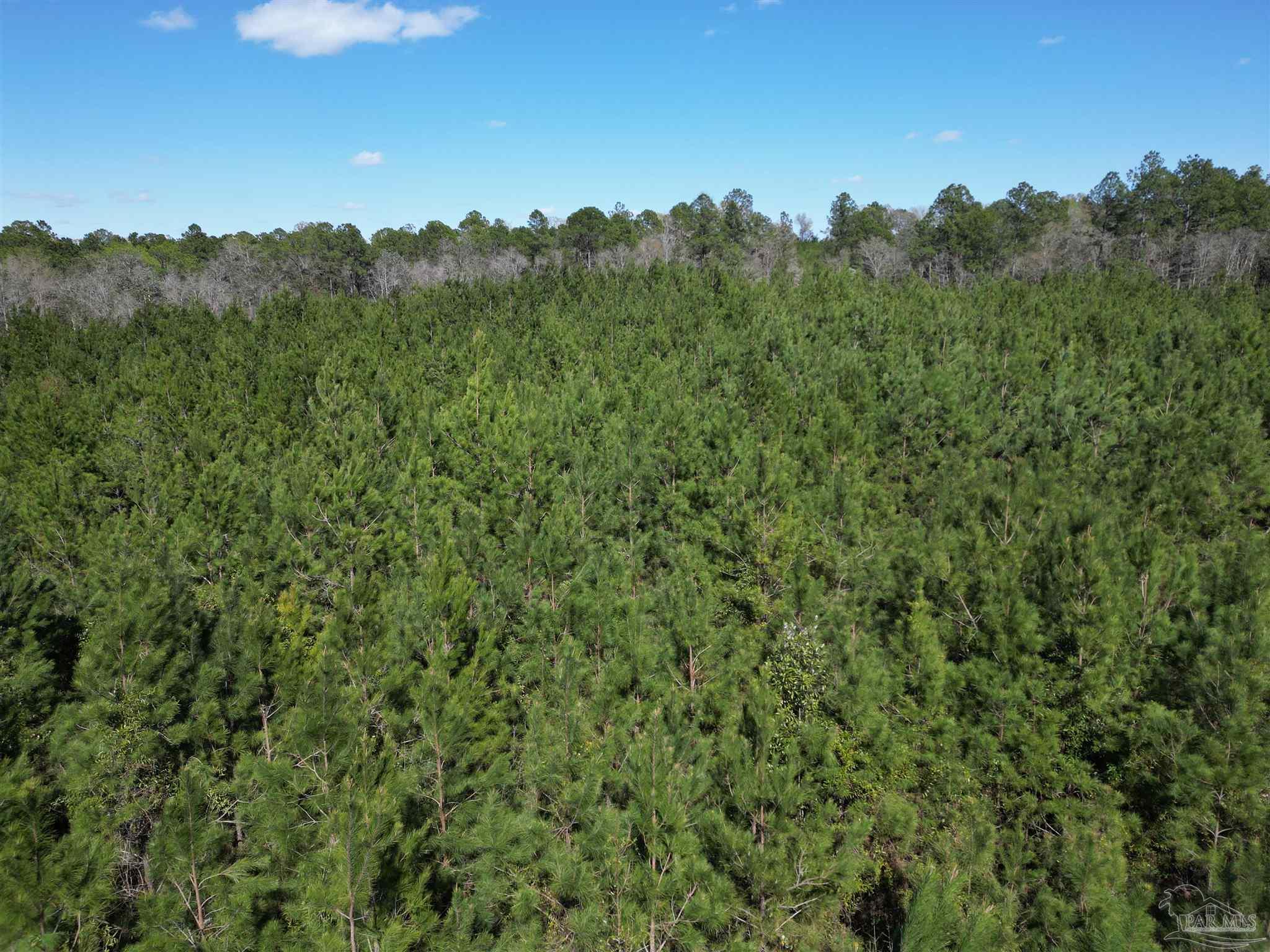 00 Upper Creek Rd