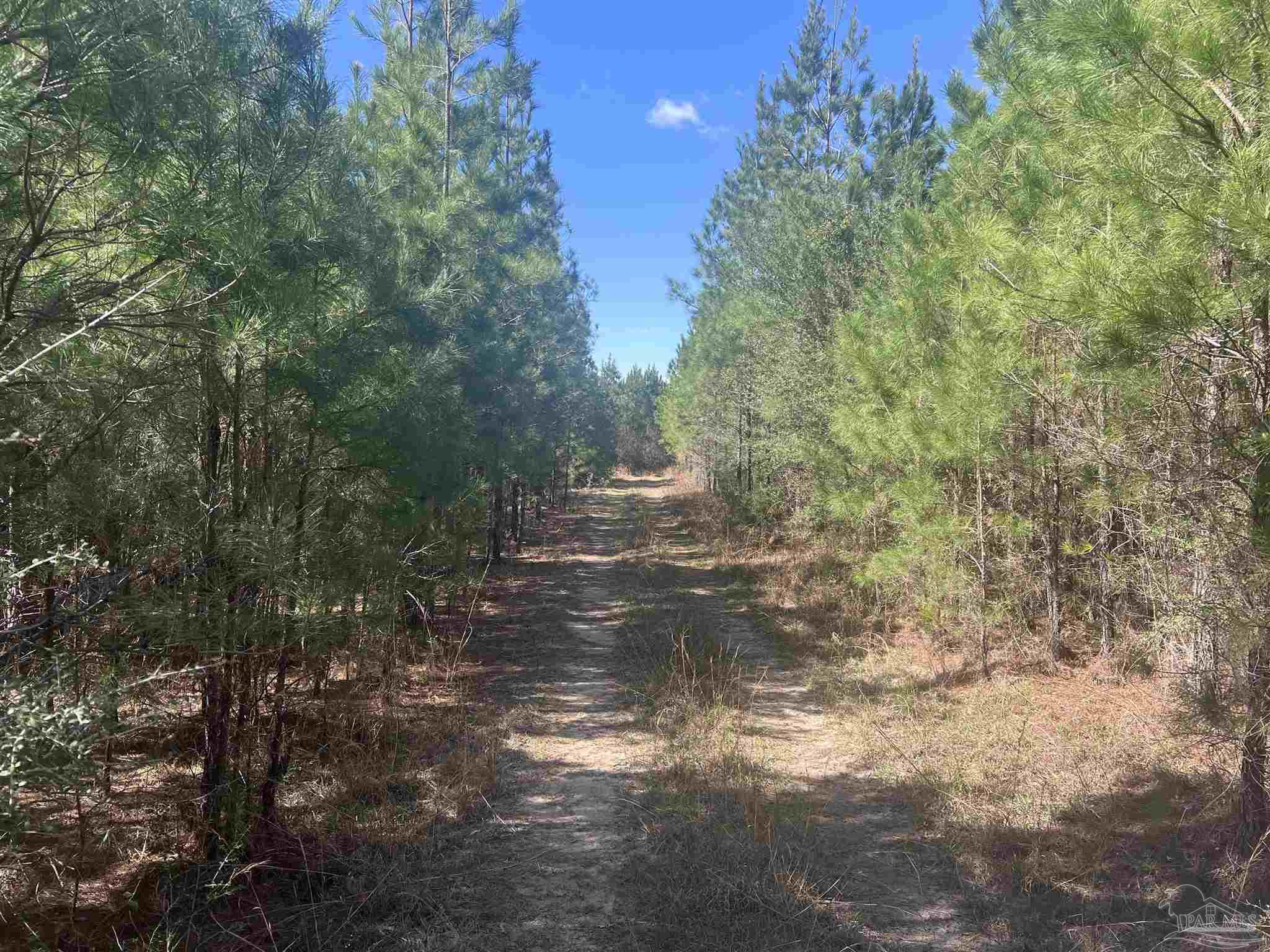 00 Upper Creek Rd
