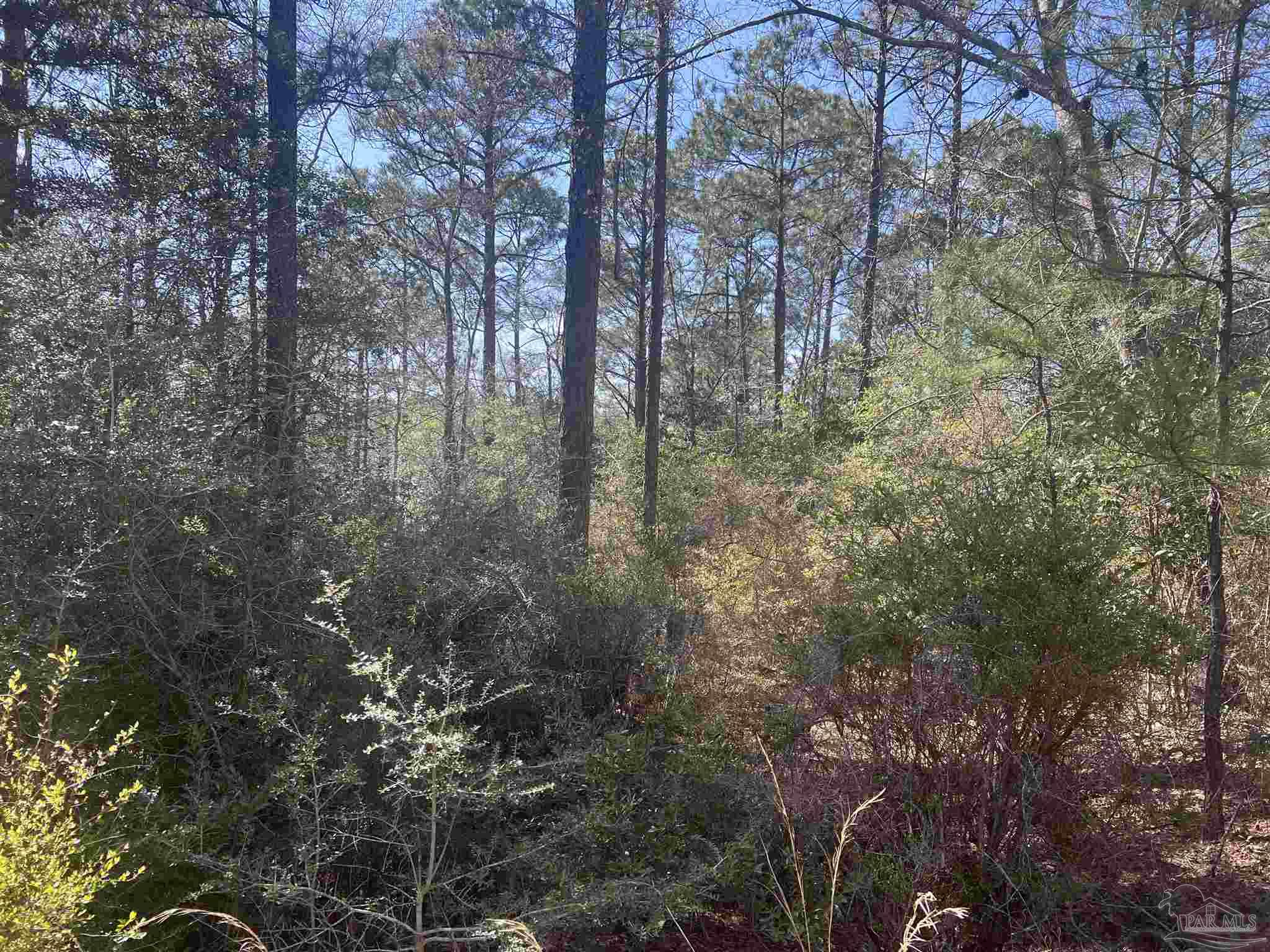 00 Upper Creek Rd