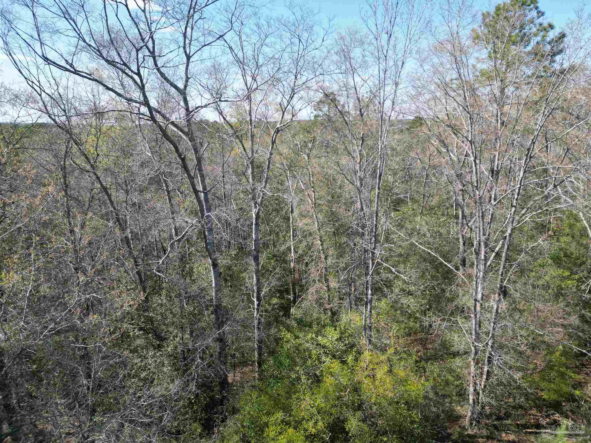 00 Upper Creek Rd