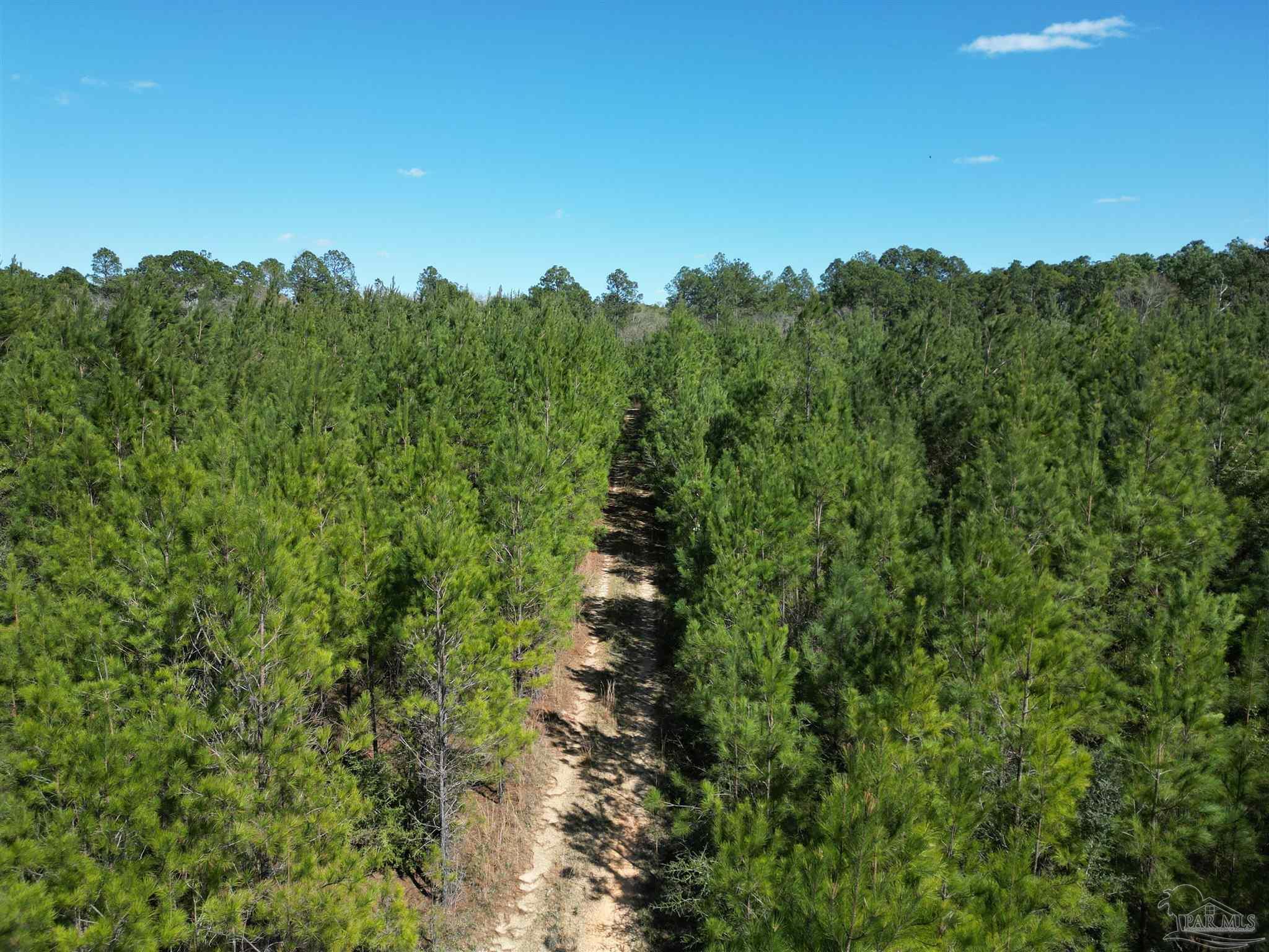 00 Upper Creek Rd