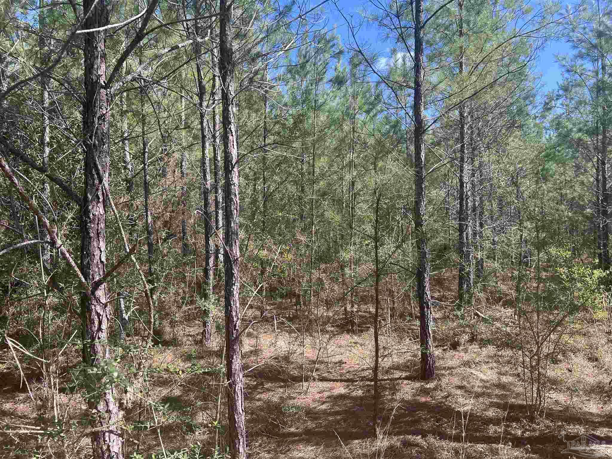 00 Upper Creek Rd