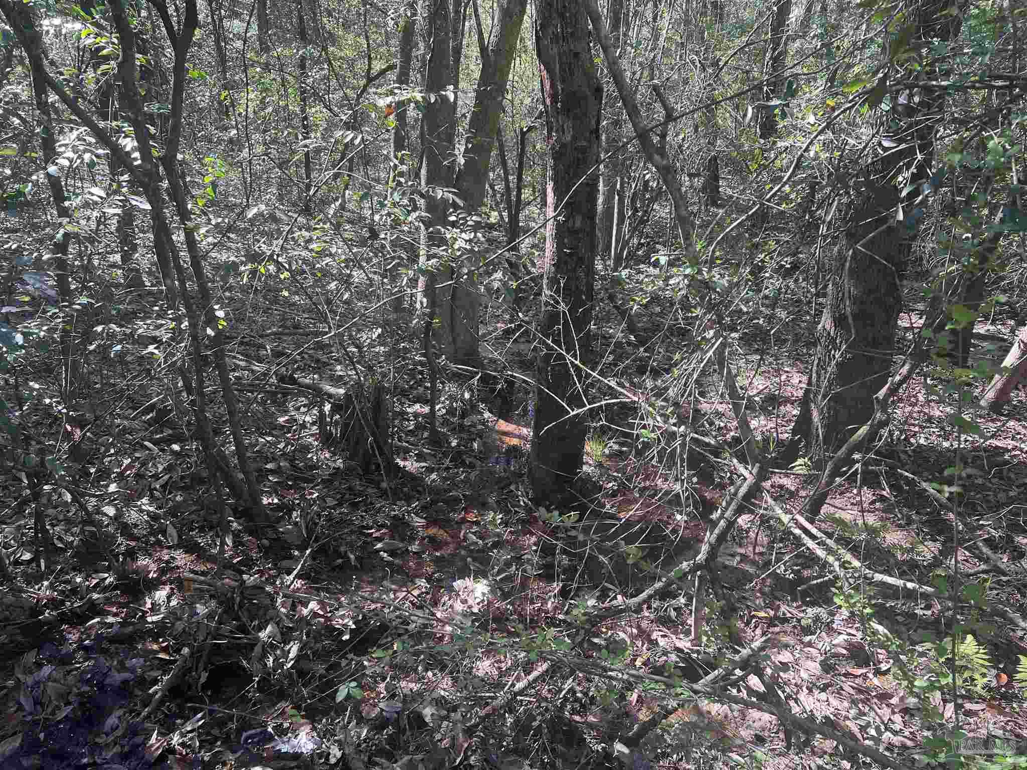 00 Upper Creek Rd