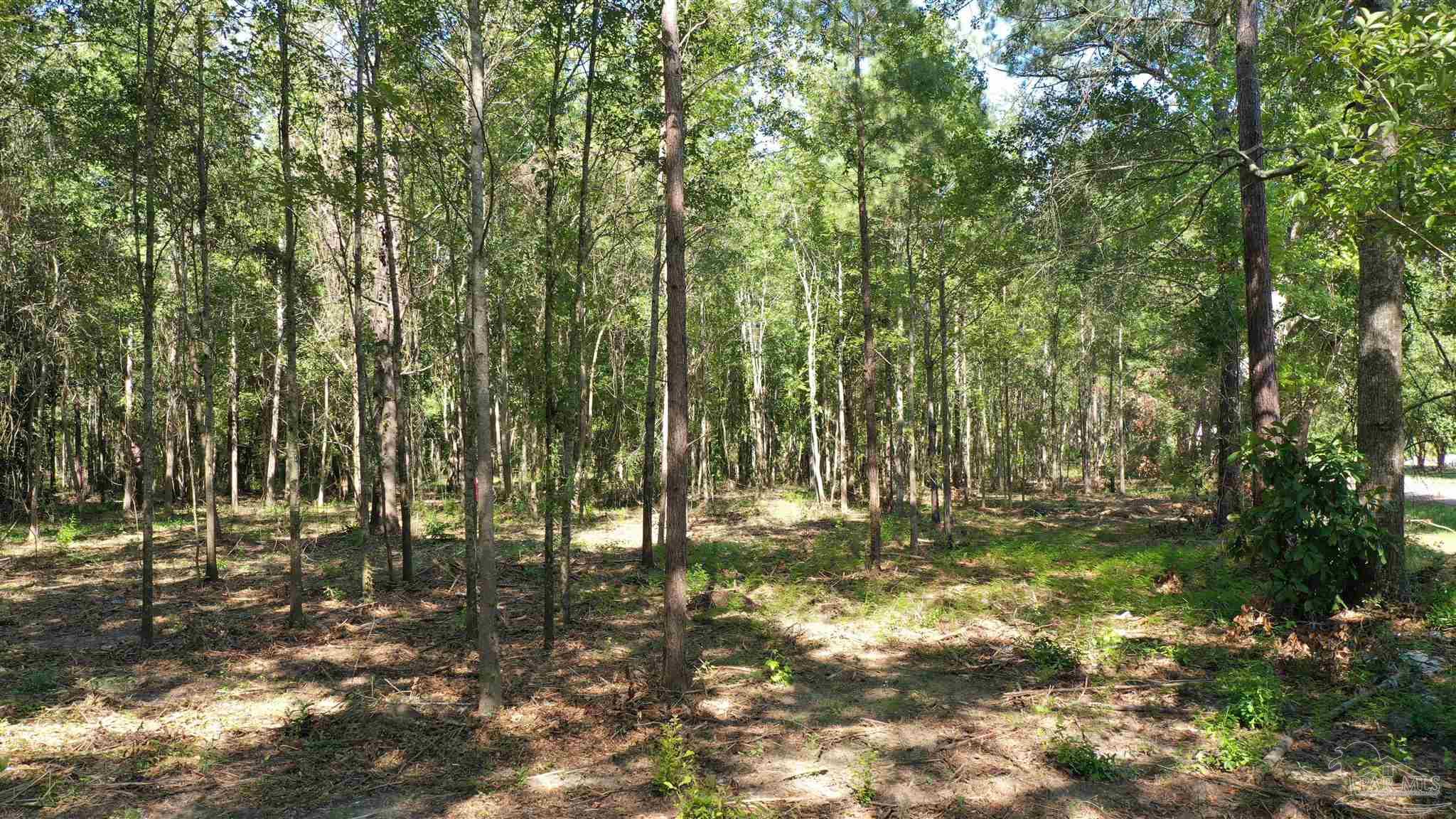 Lot 2A Harris St