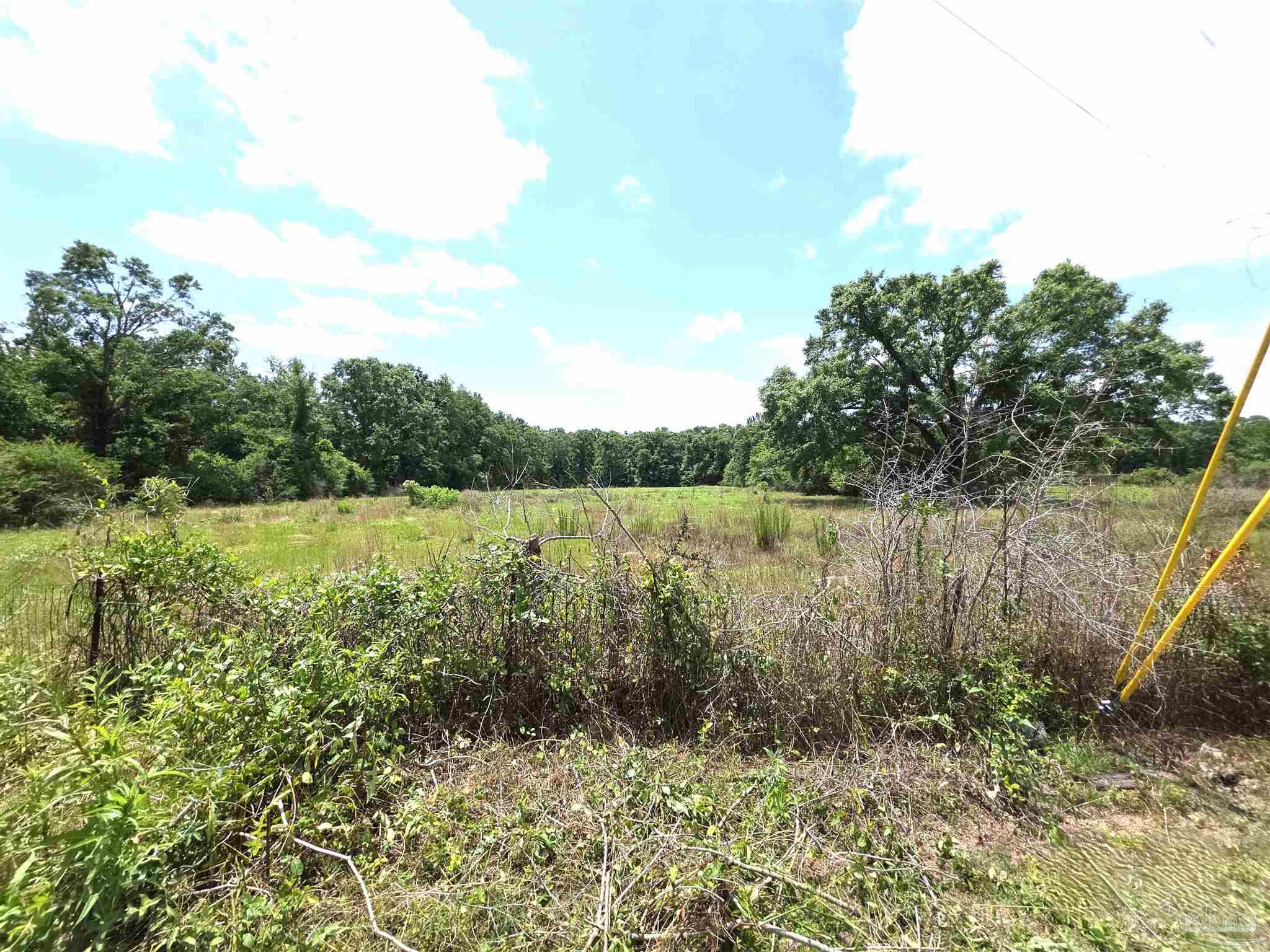 3381 W Hwy 4