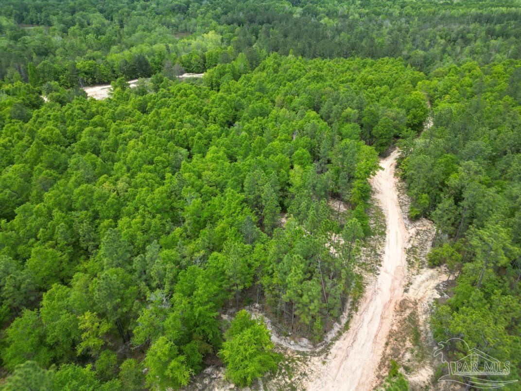 2610 Hwy 4