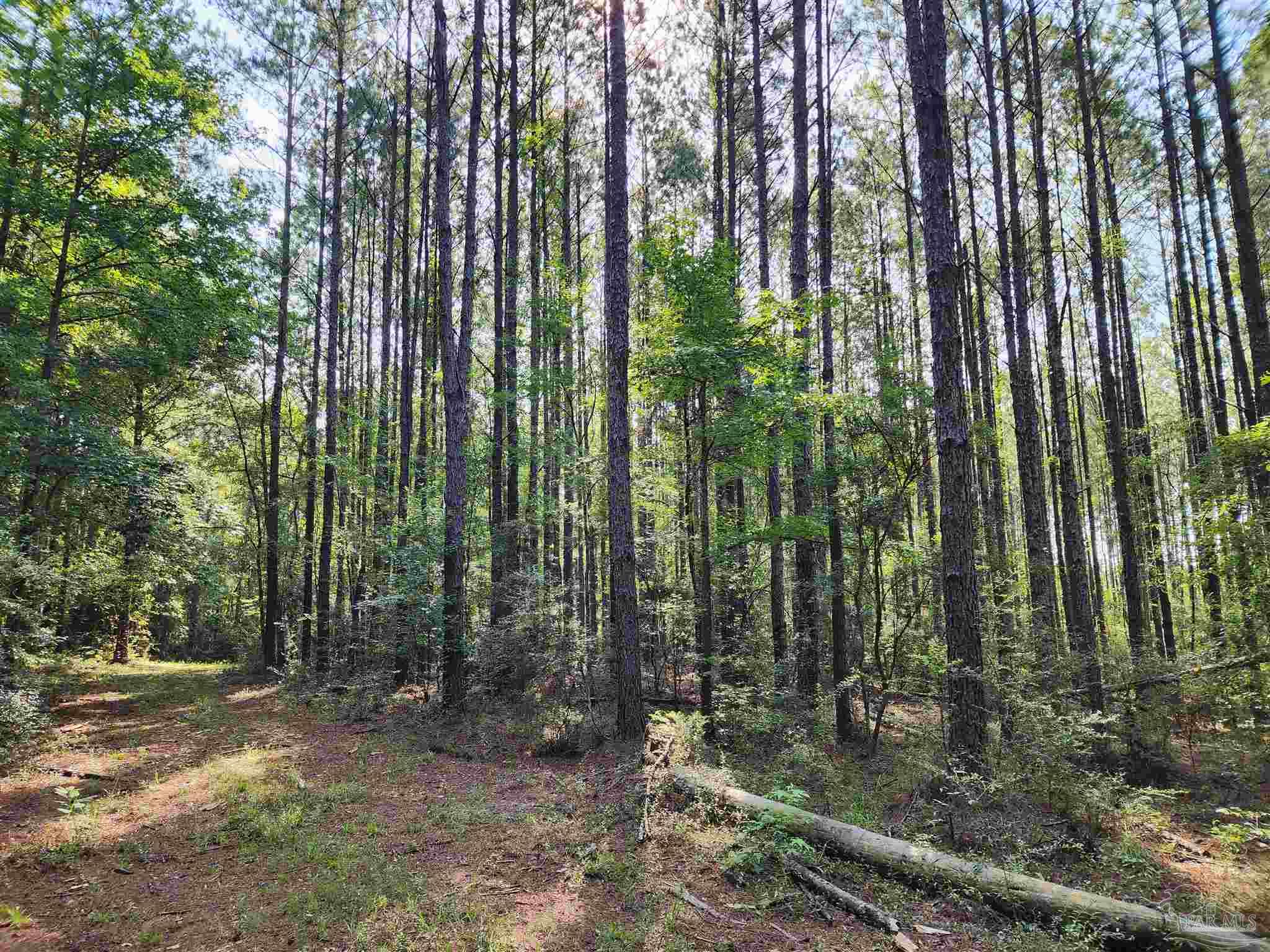0 Lowery Rd Lot 10 Unit: Lot #10
