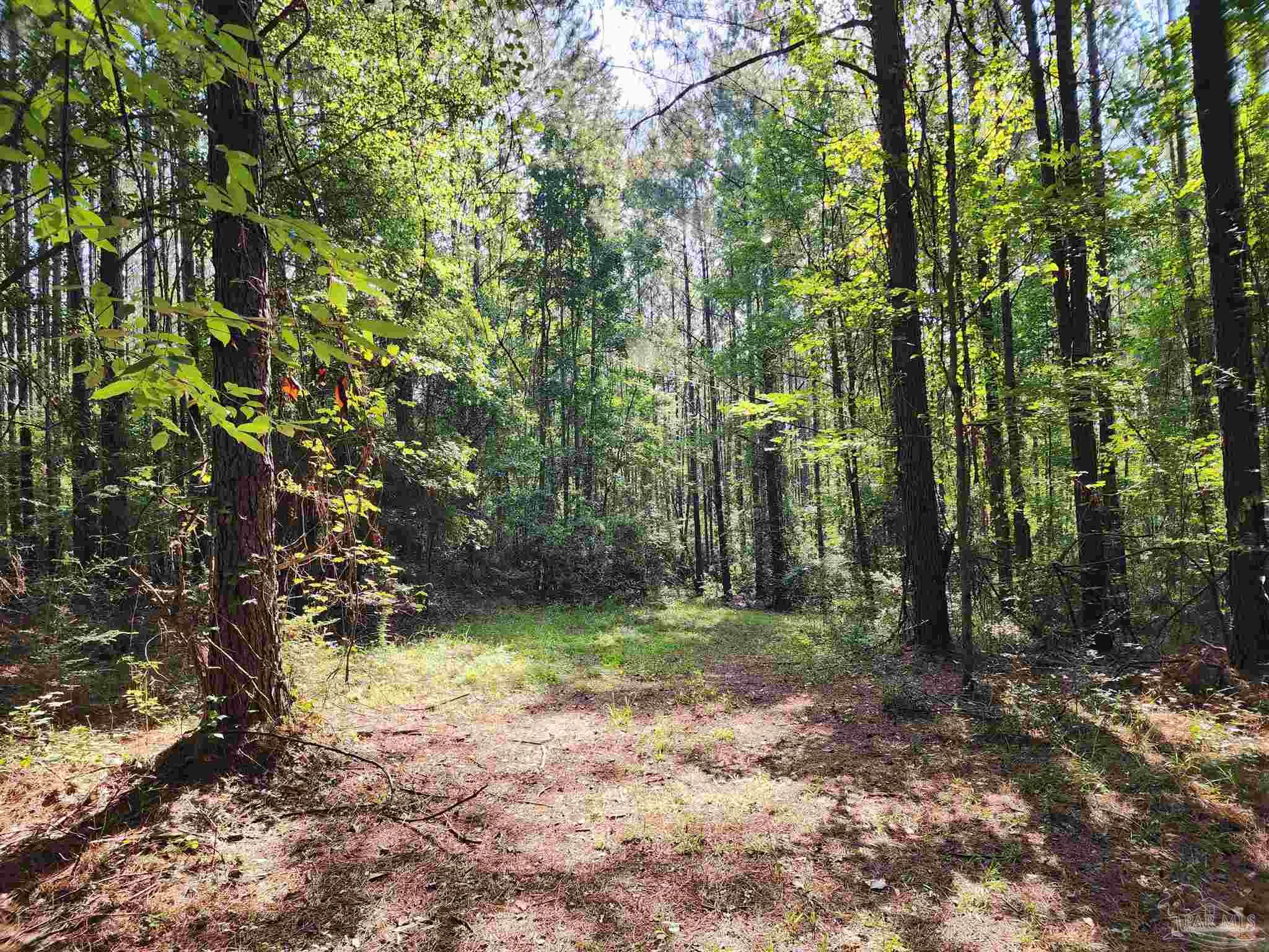 0 Lowery Rd Lot 11 Unit: Lot #11