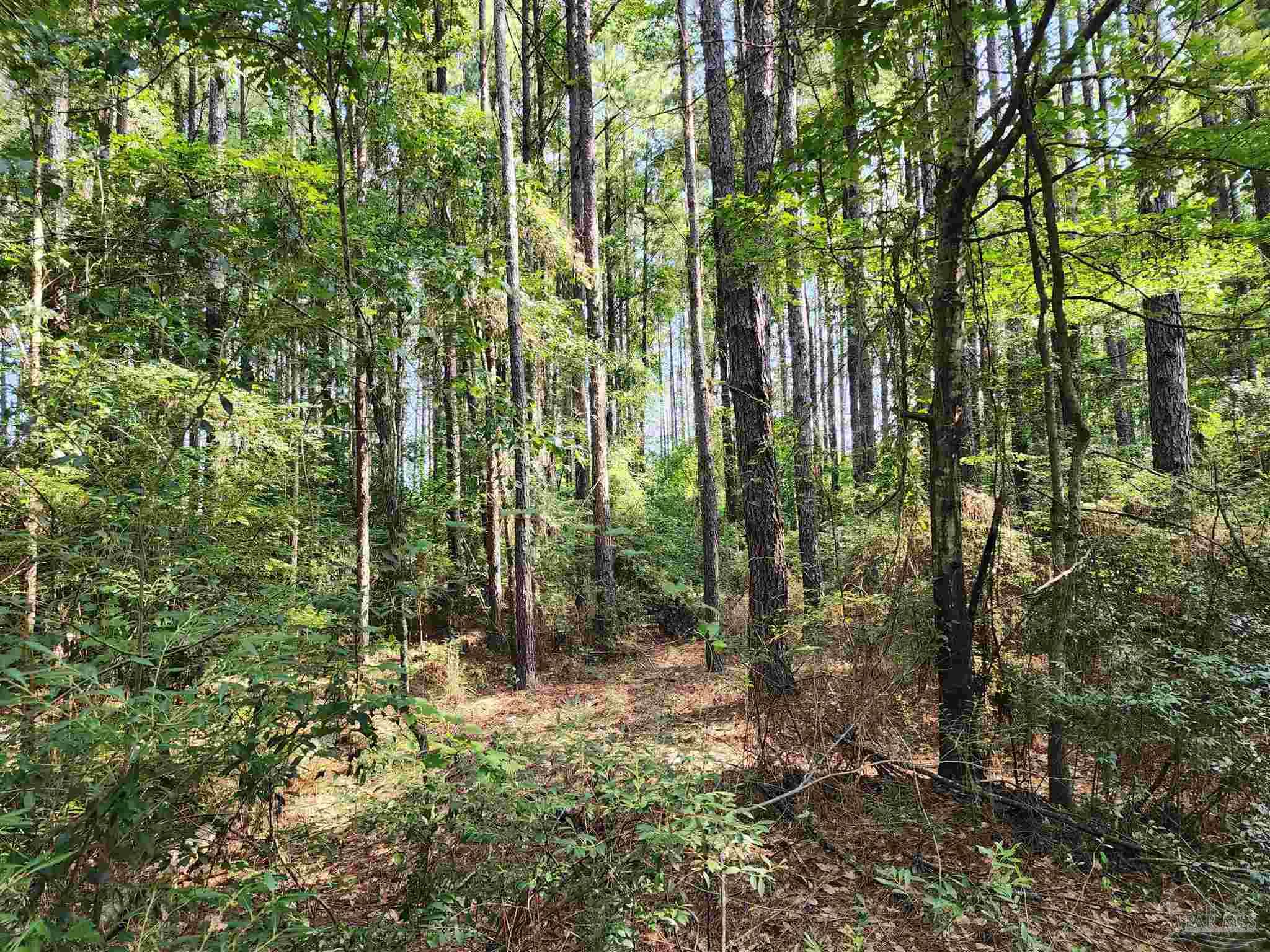 0 Lowery Rd Lot 11 Unit: Lot #11