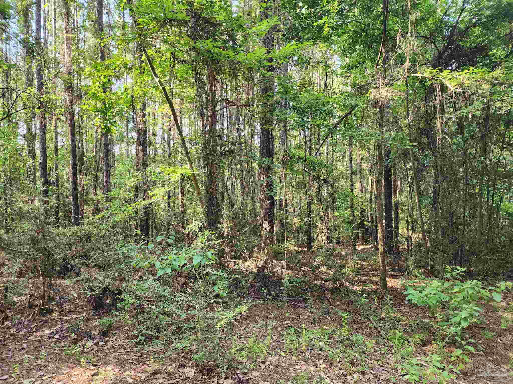 0 Lowery Rd Lot 11 Unit: Lot #11