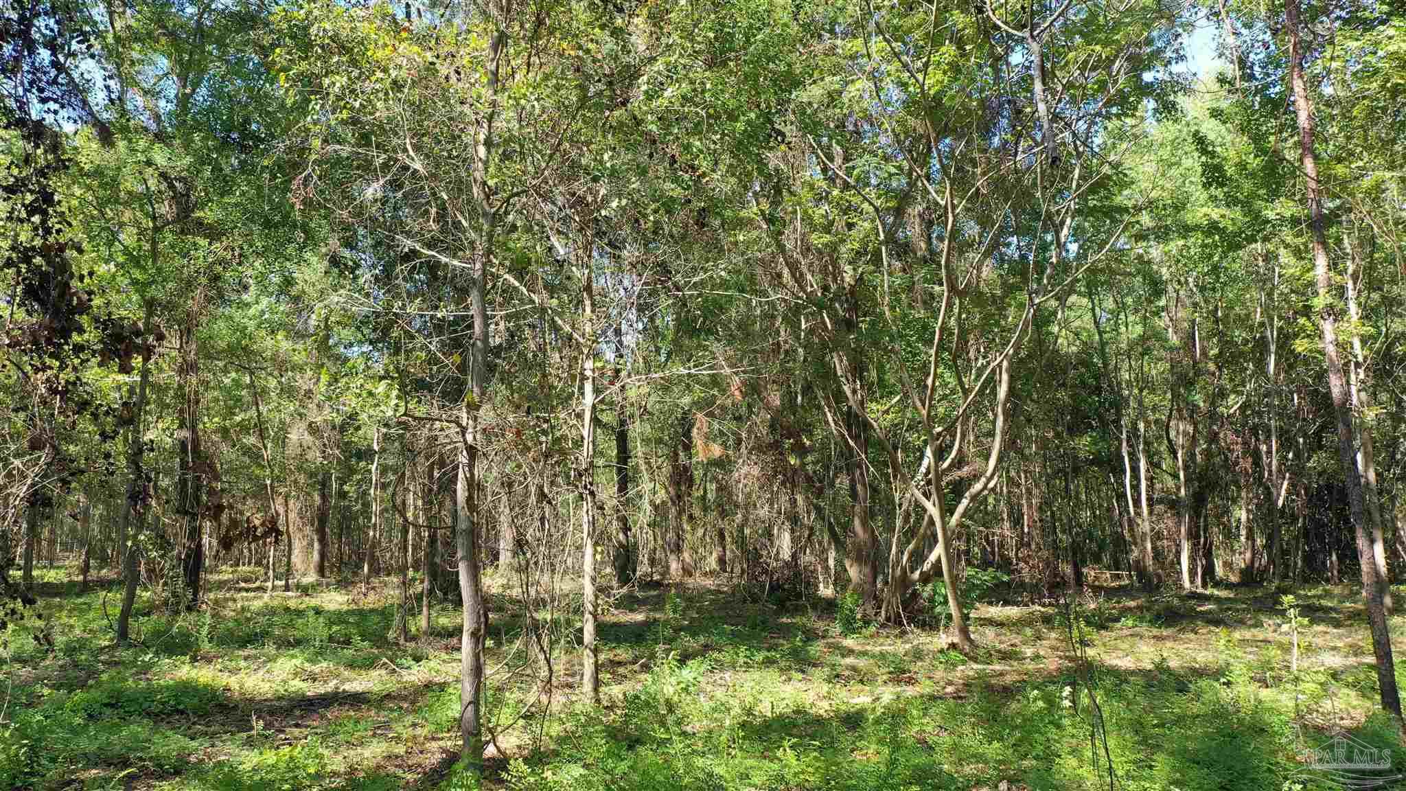Lot 2B Harris St