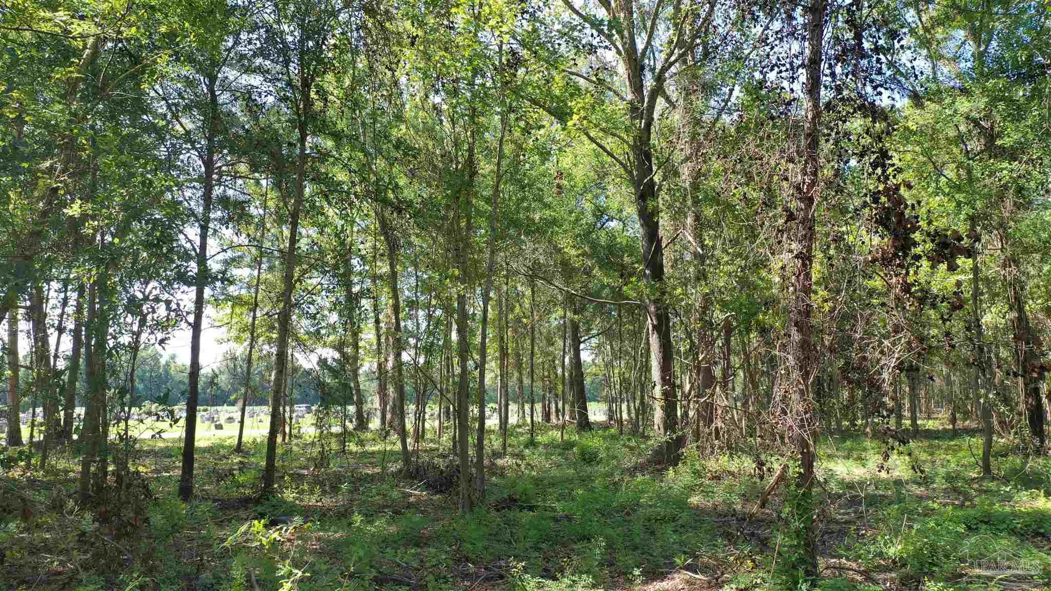 Lot 2B Harris St