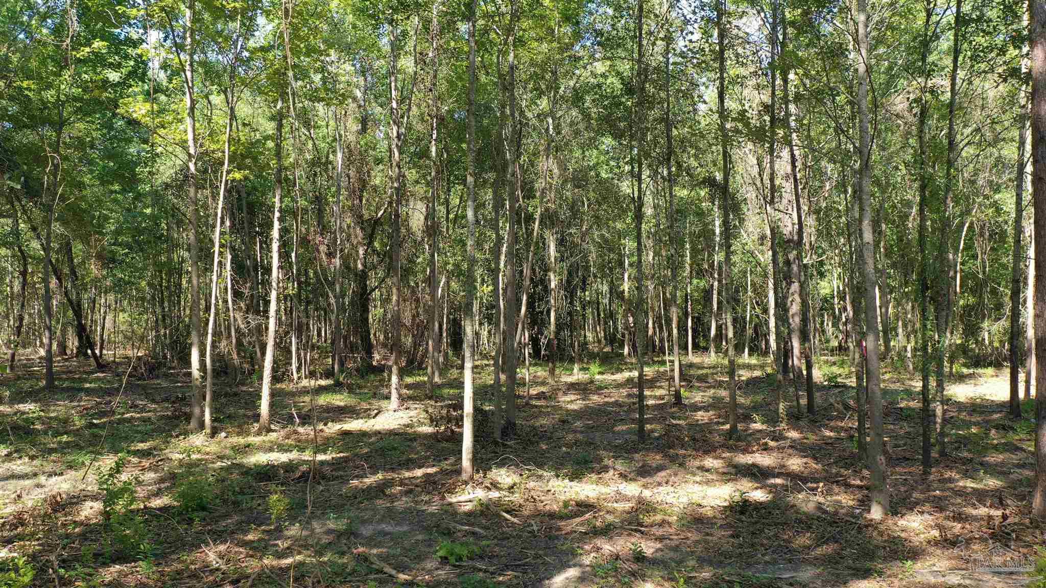Lot 2B Harris St