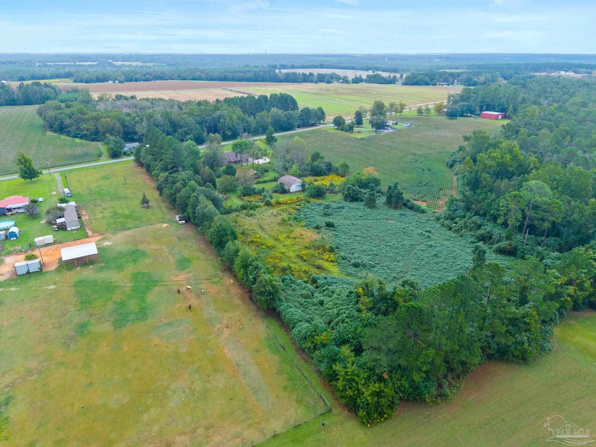 3631 Mayhaw Rd