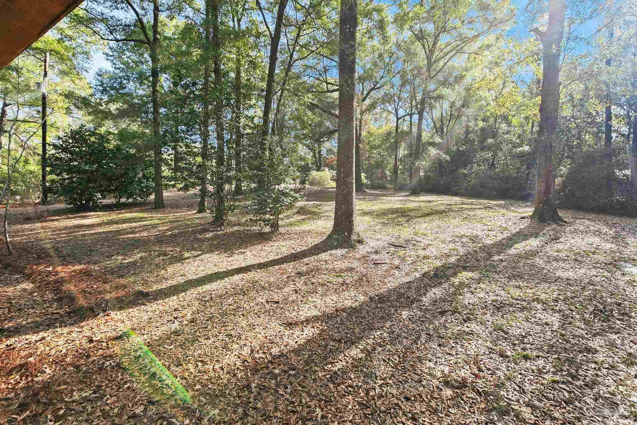 20469 S Hwy 31