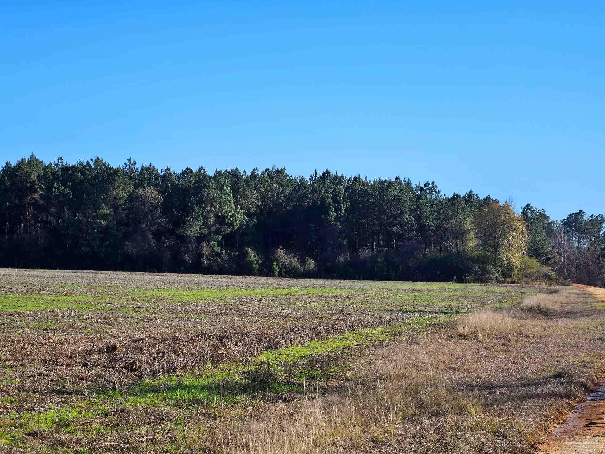 0 Three Mile Rd