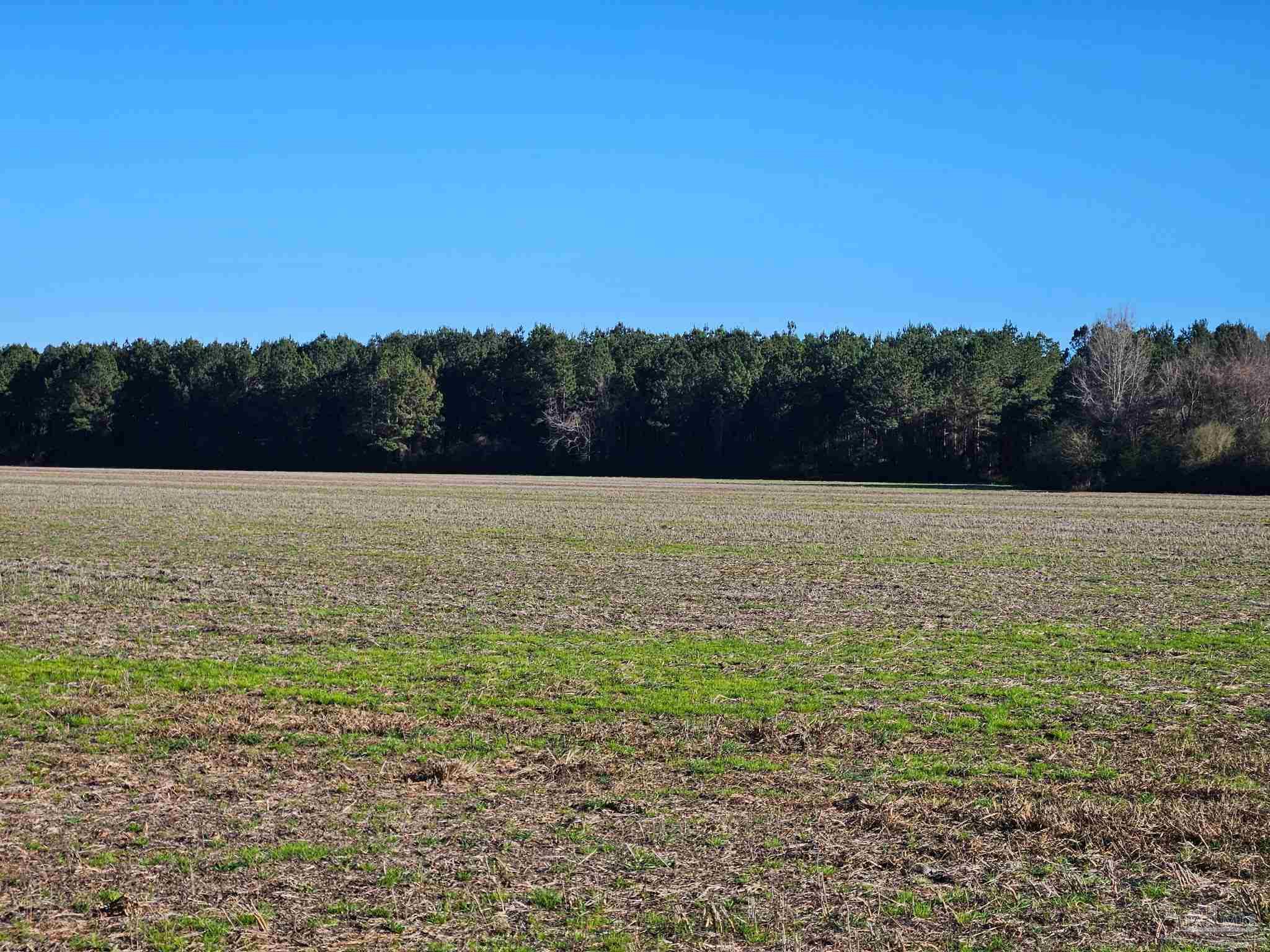0 Three Mile Rd