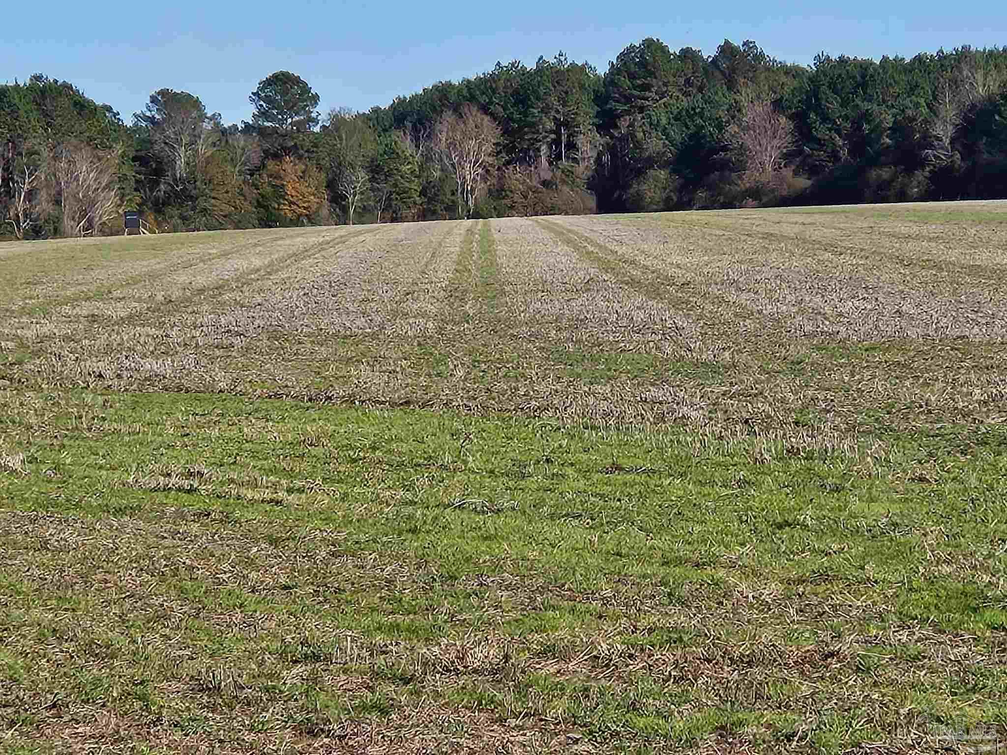 0 Three Mile Rd