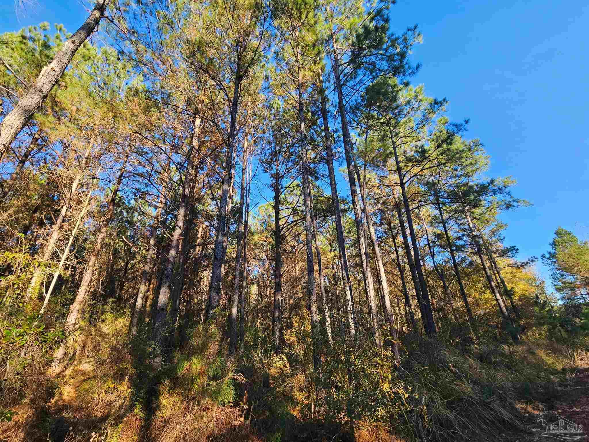 0 Three Mile Rd