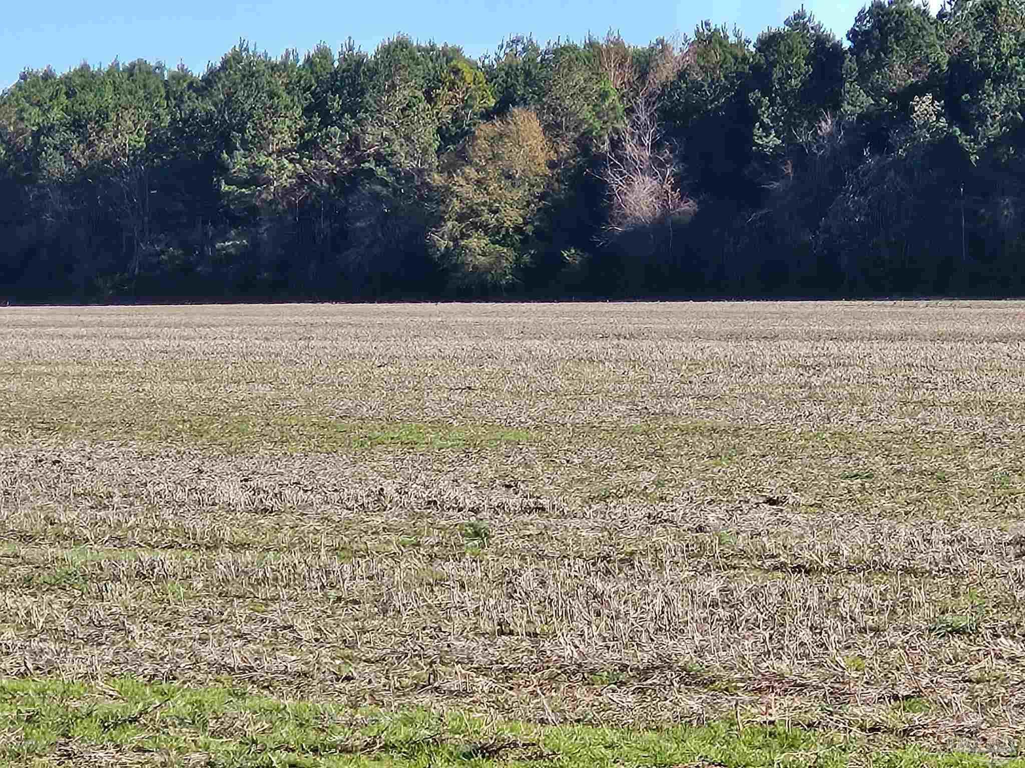 0 Three Mile Rd