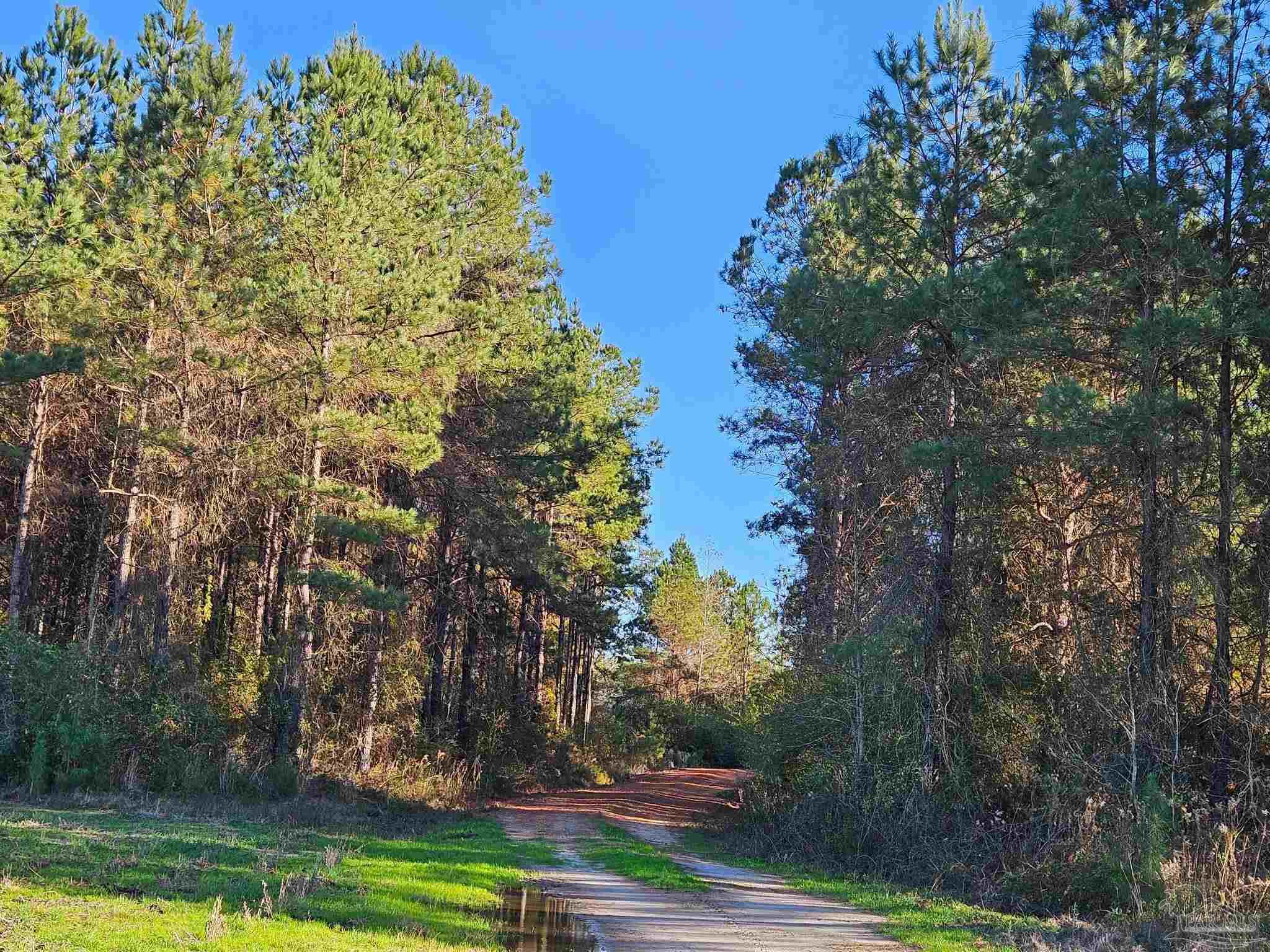 0 Three Mile Rd