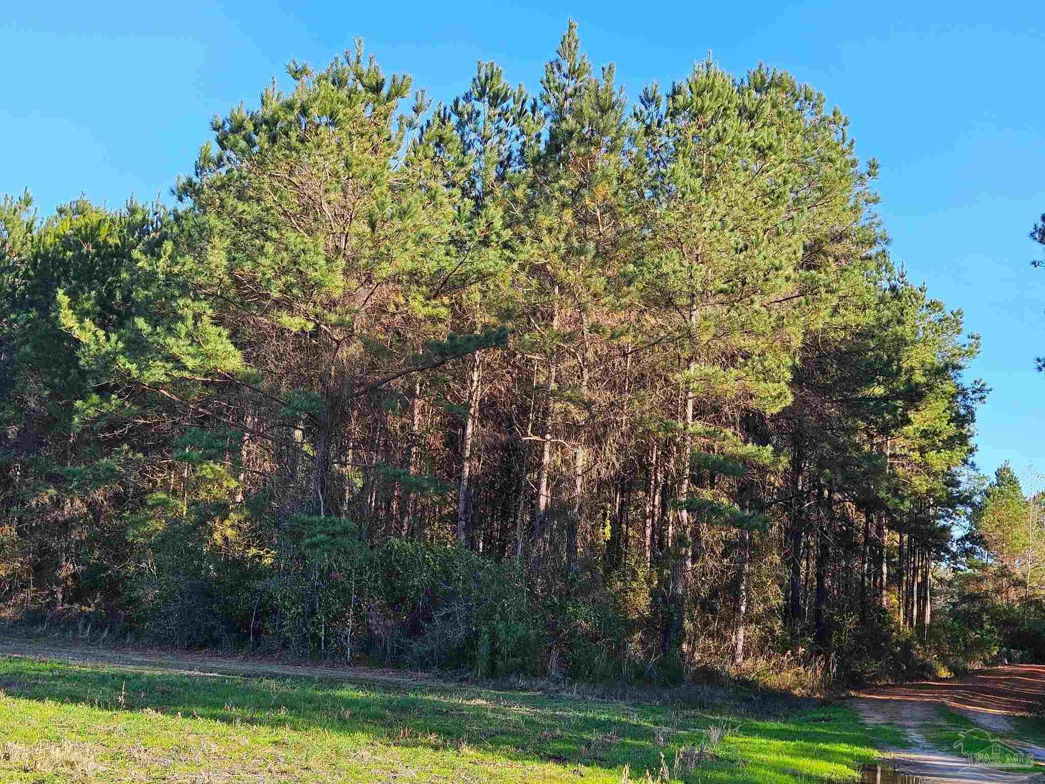 0 Three Mile Rd