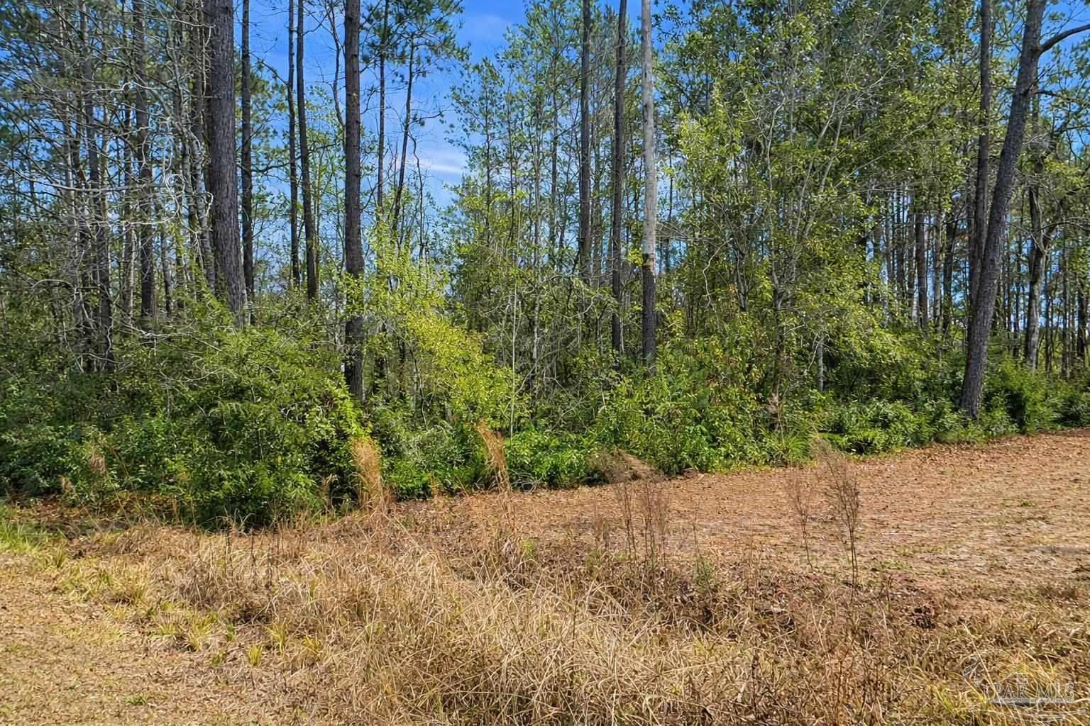 818 Twin Bridges Rd