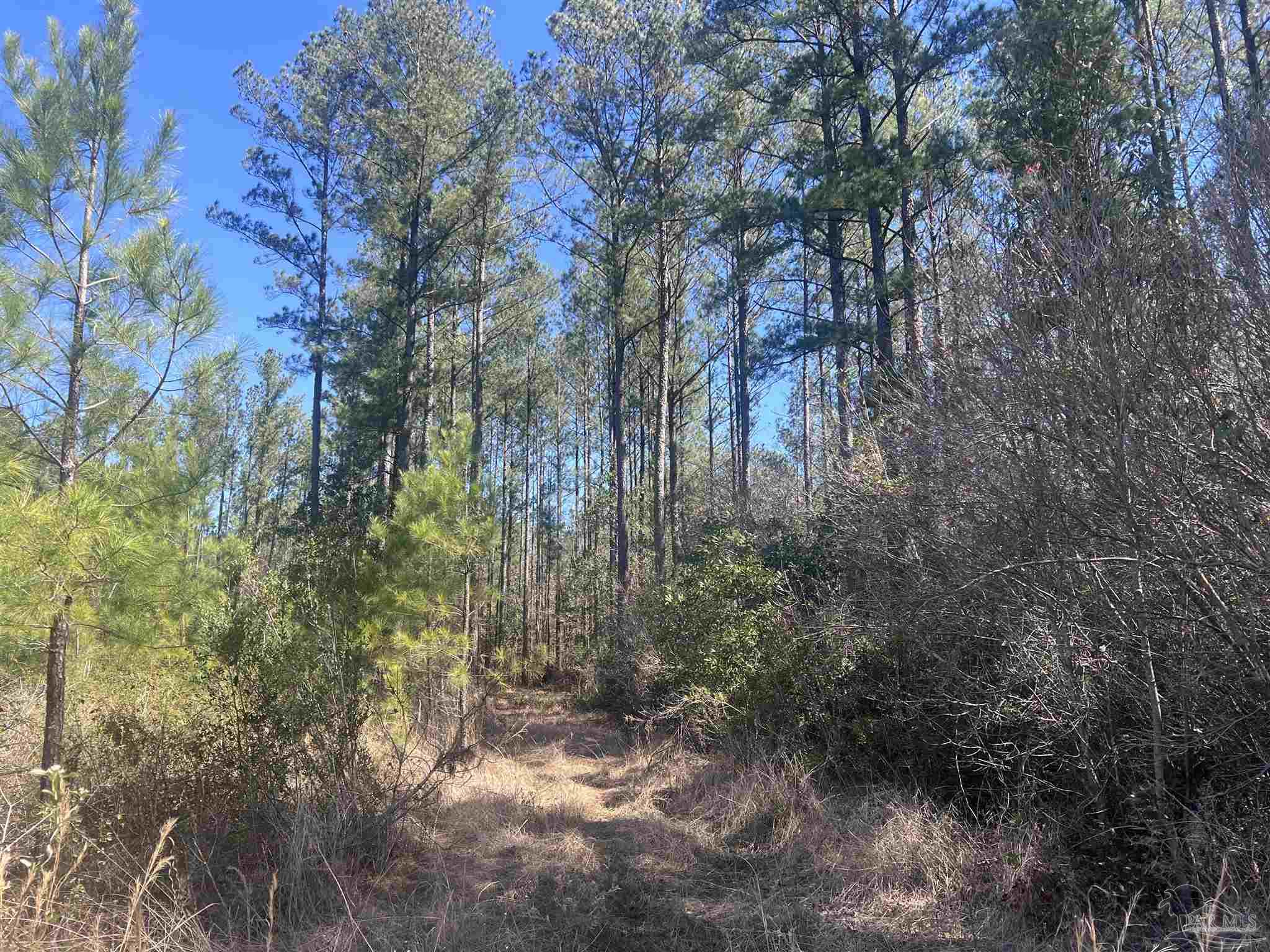 10 Robinsonville Rd