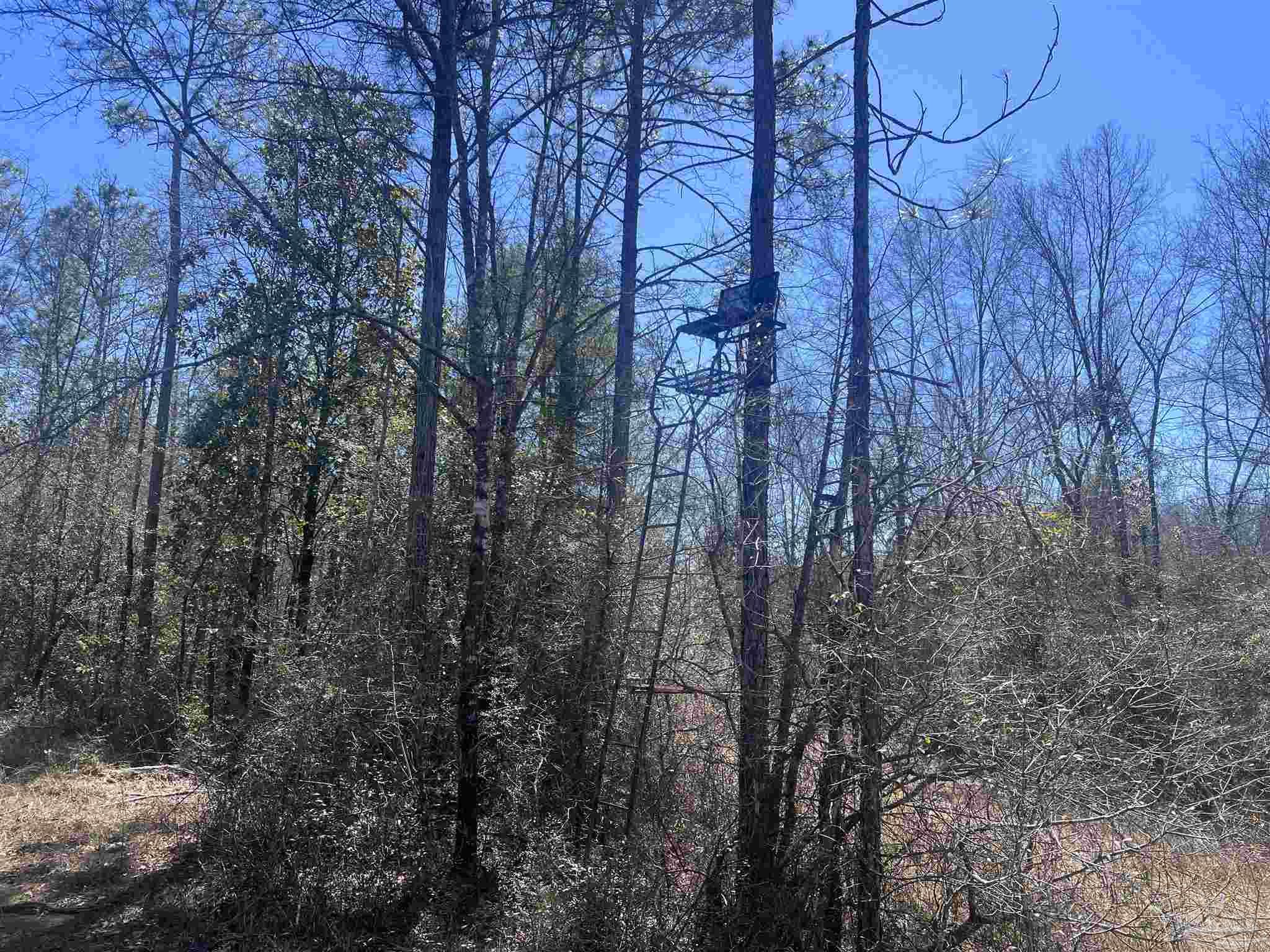 1 Robinsonville Rd