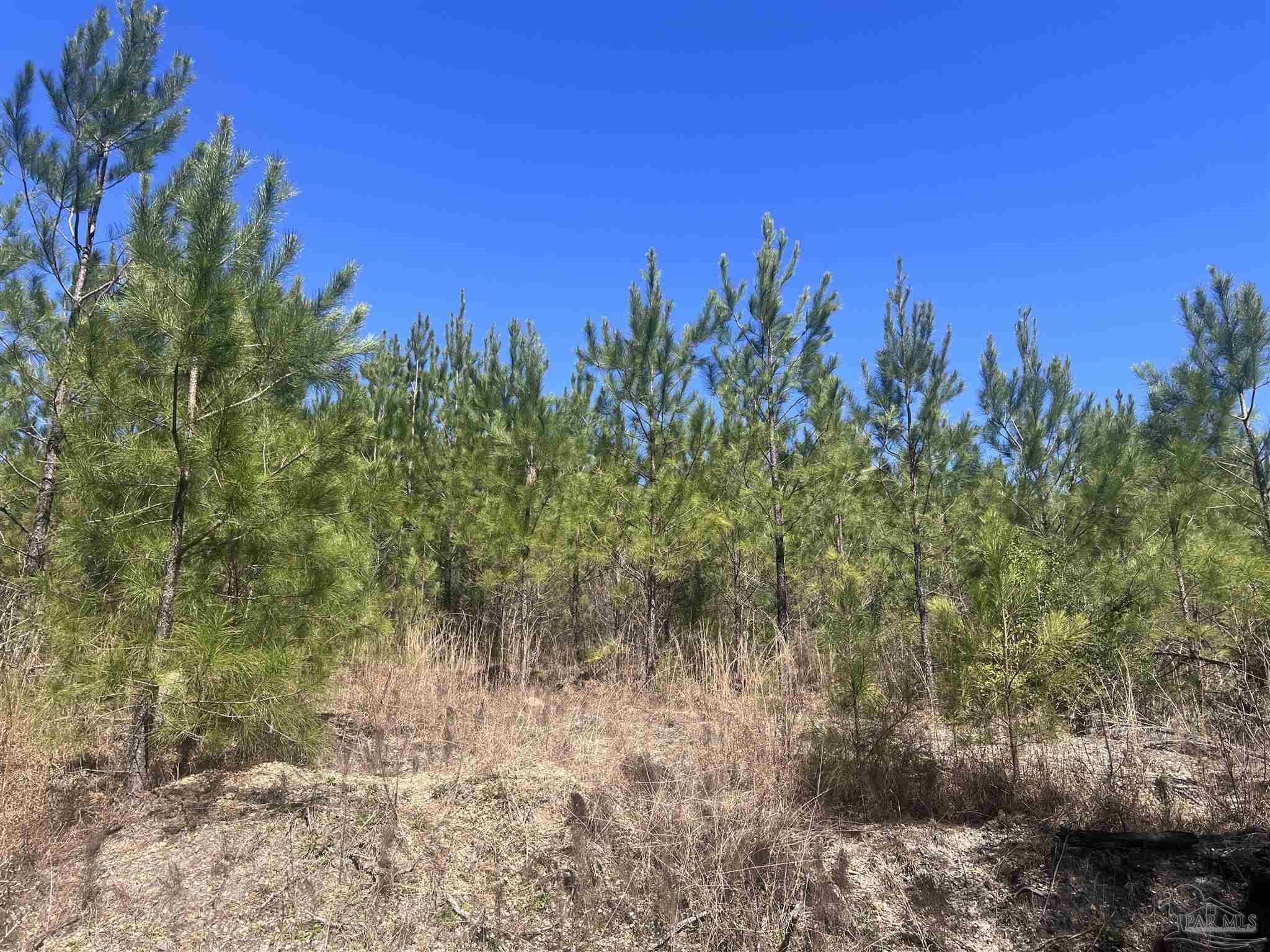 2 Robinsonville Rd