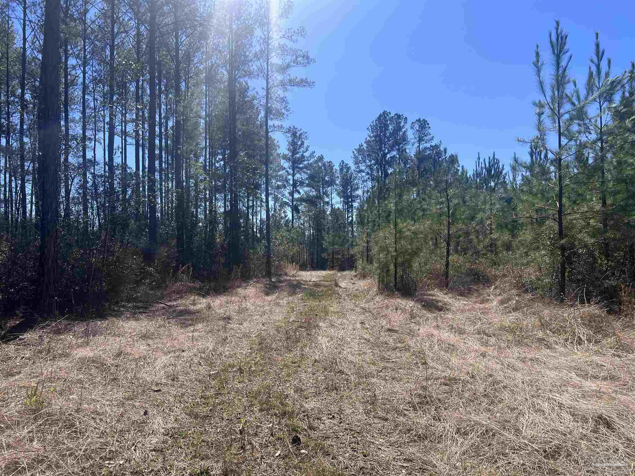 4 Robinsonville Rd