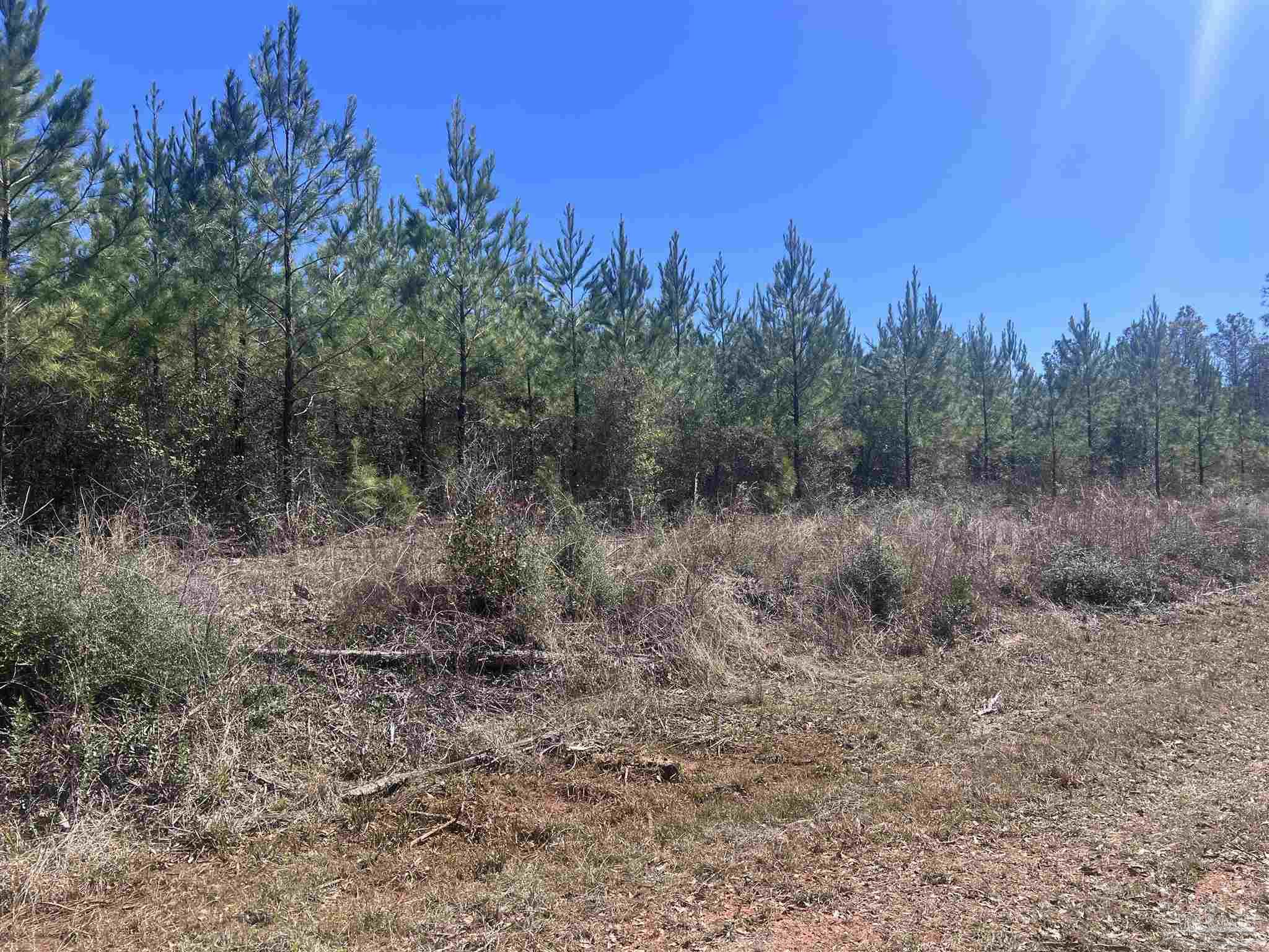 00 Robinsonville Rd