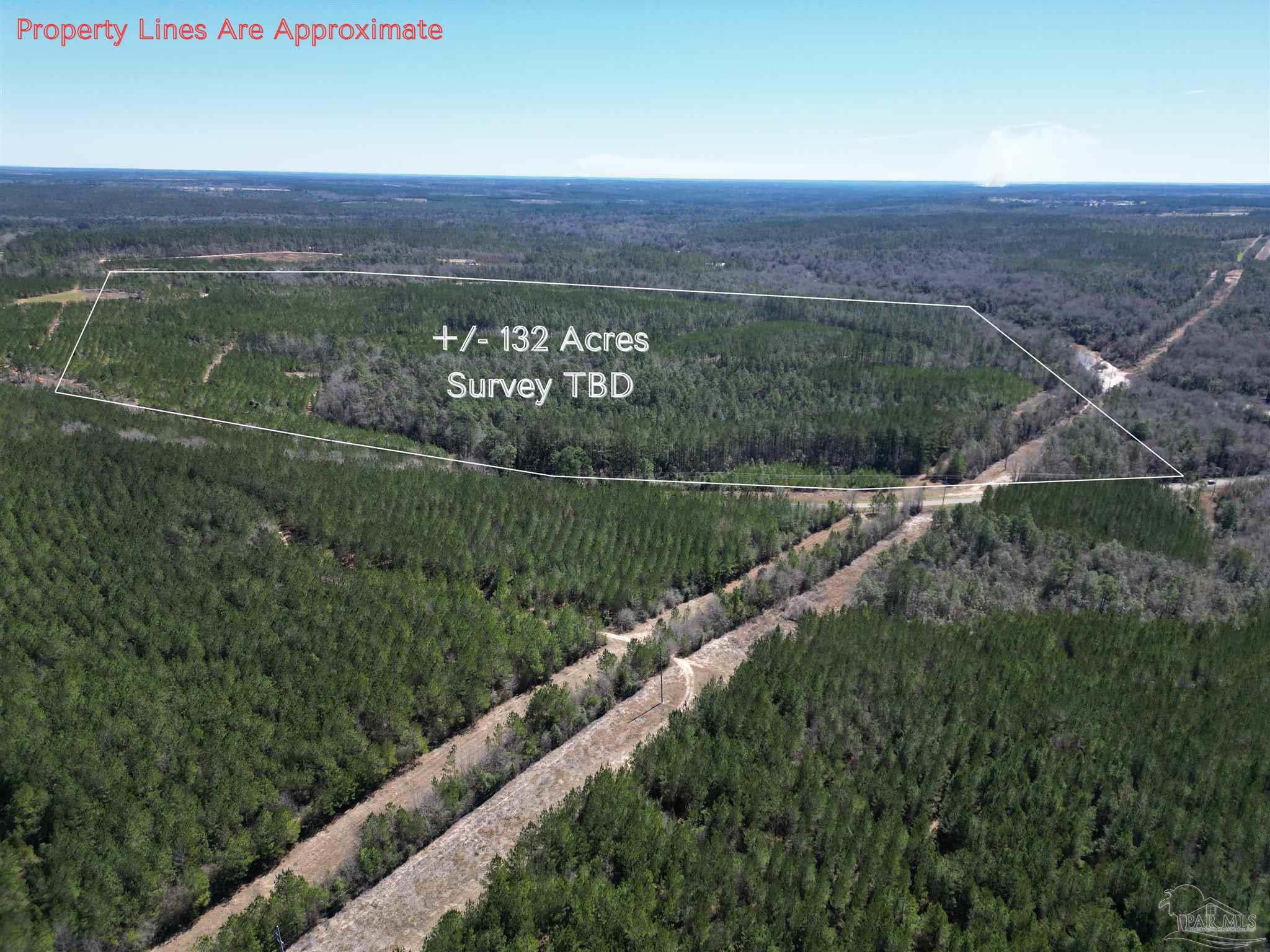 00 Robinsonville Rd