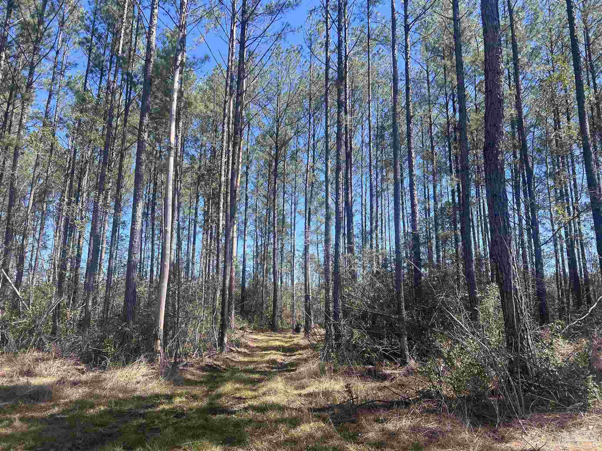 00 Robinsonville Rd