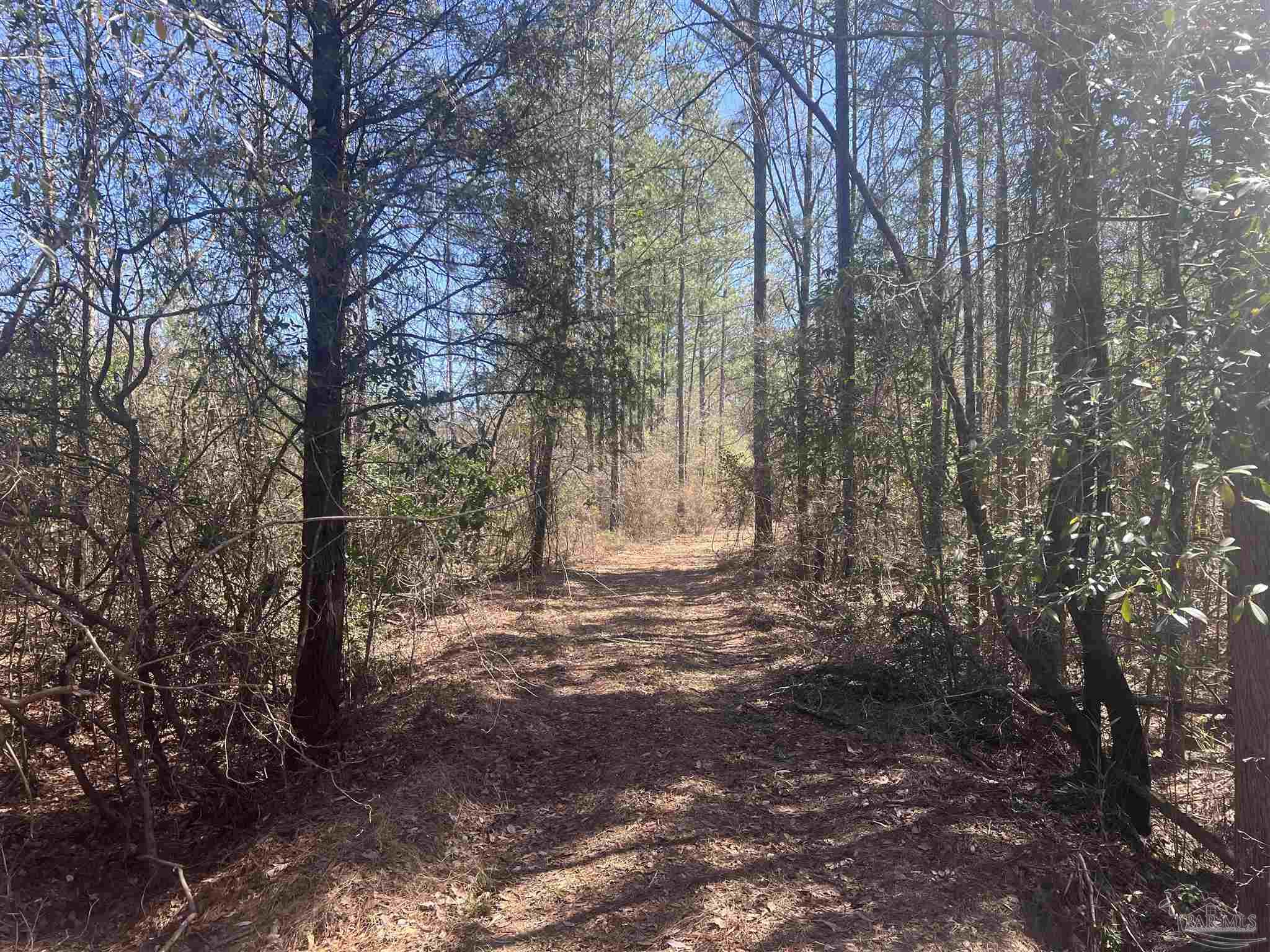 00 Robinsonville Rd