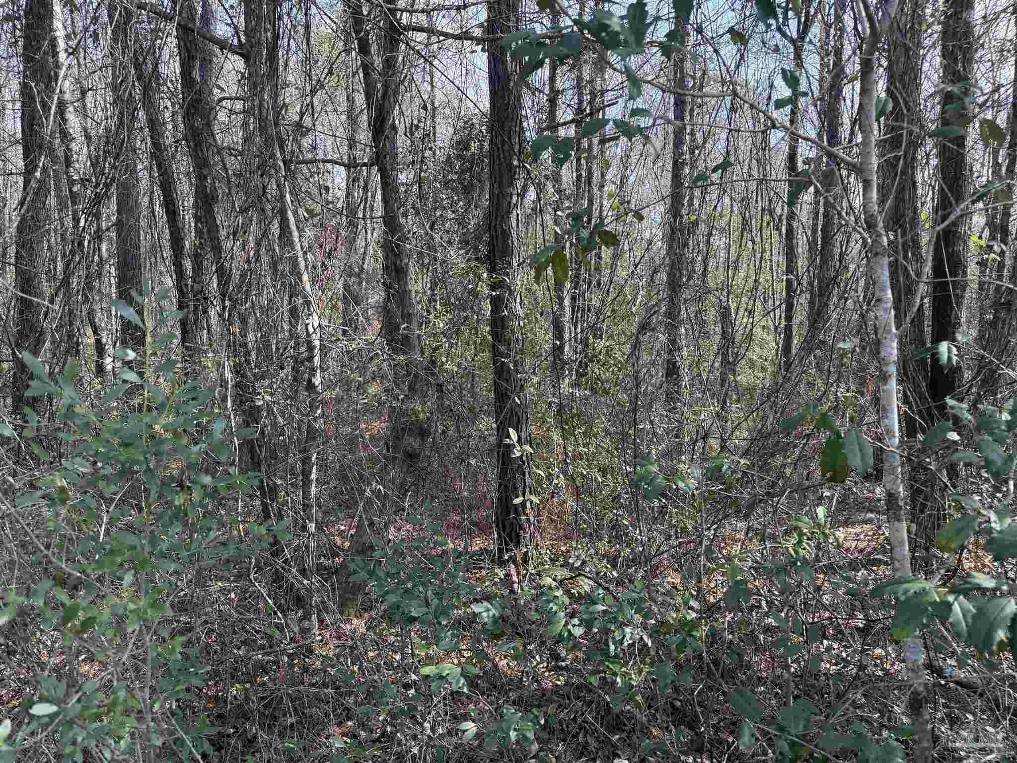 00 Hwy 41