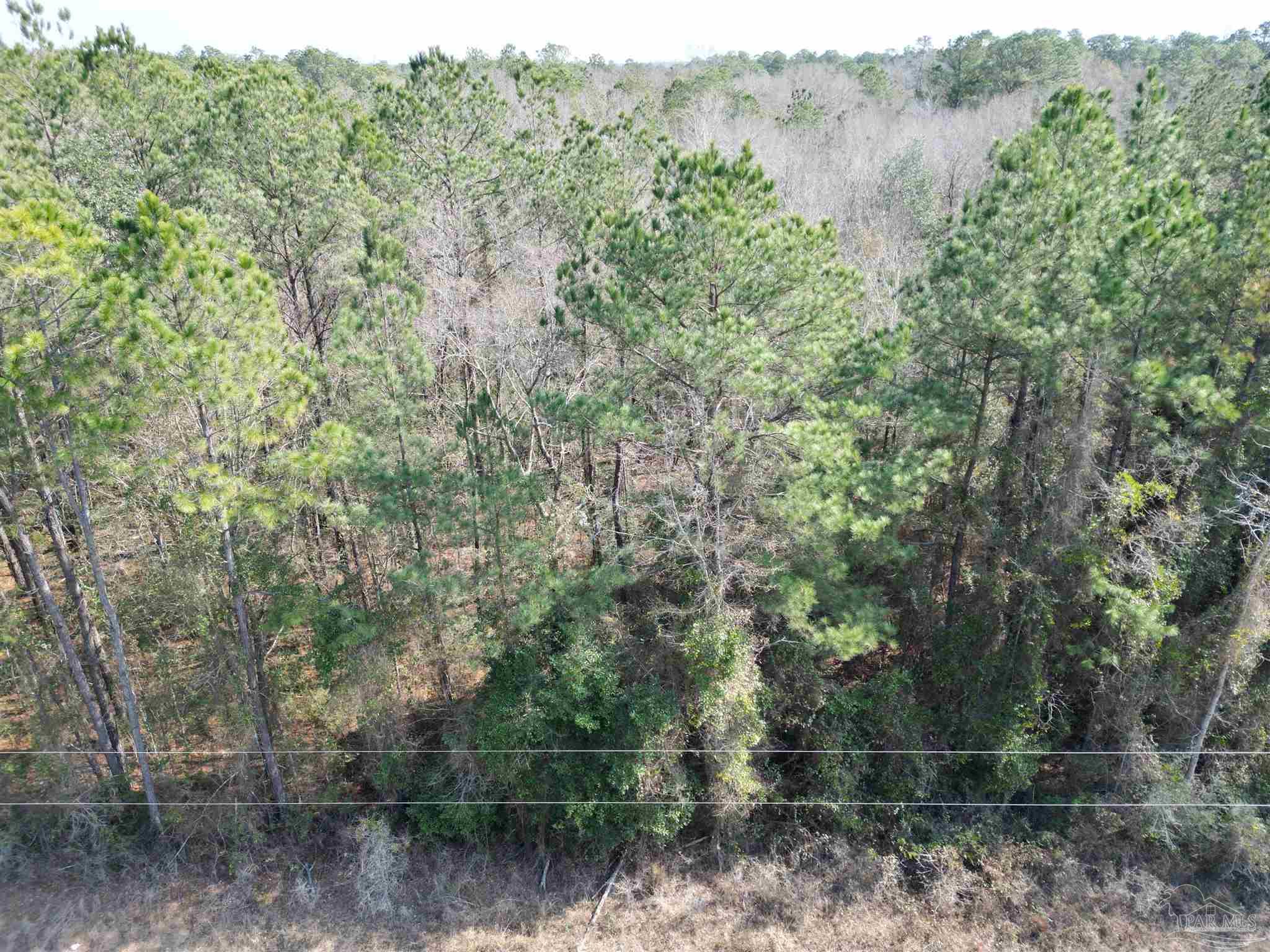 00 Hwy 41