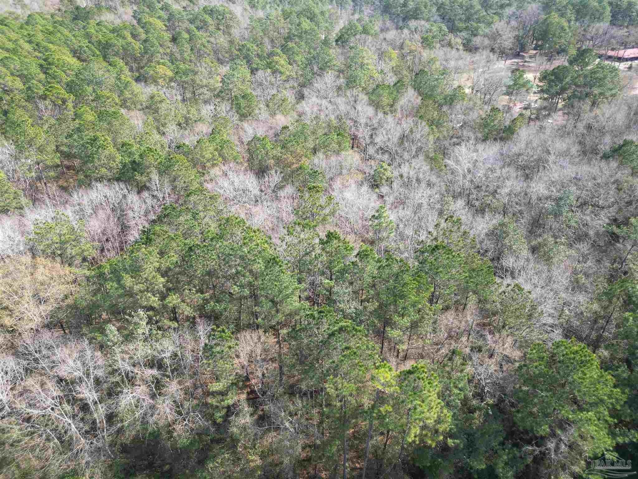 00 Hwy 41