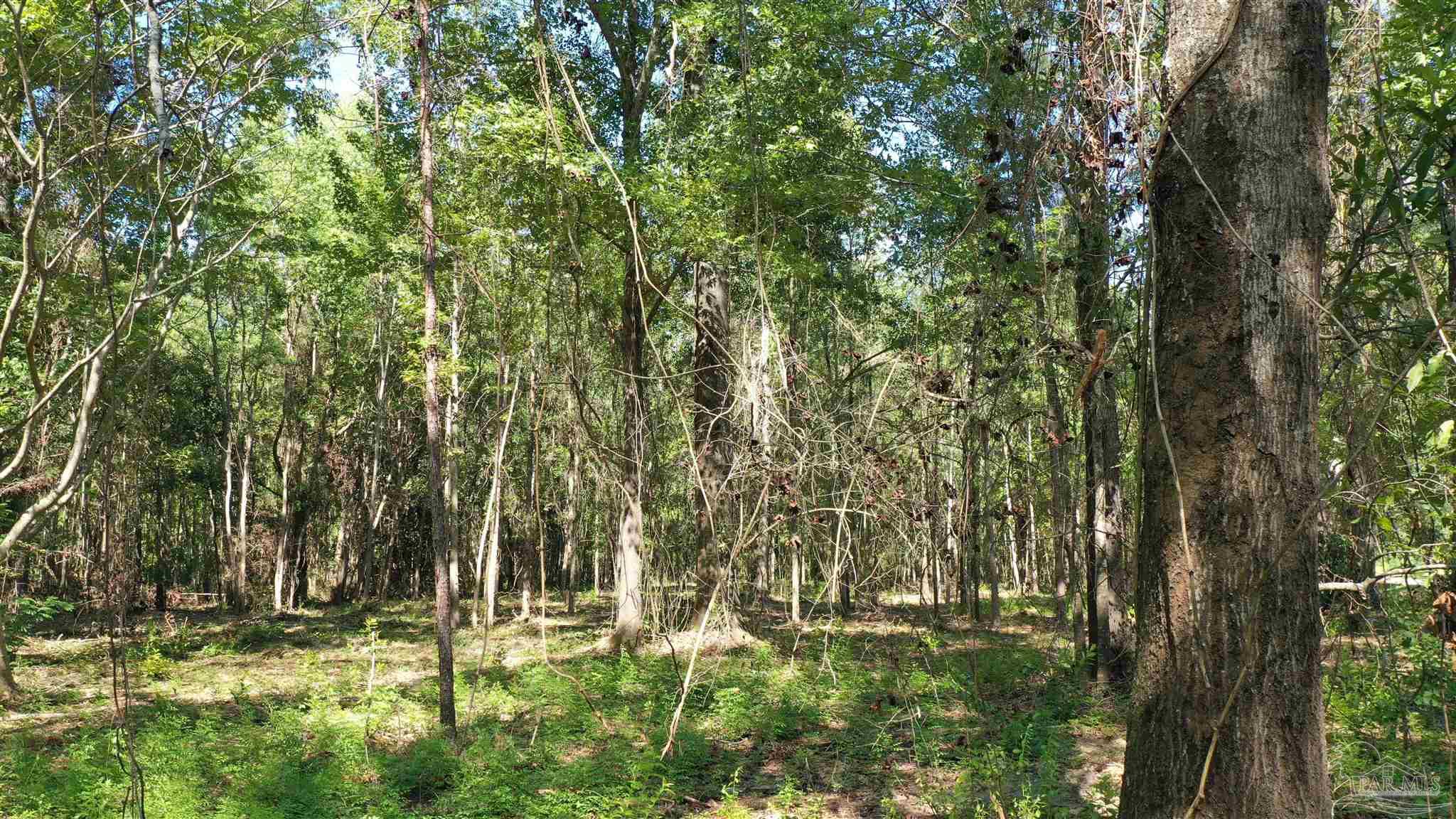 Lot 4A Johnson Rd