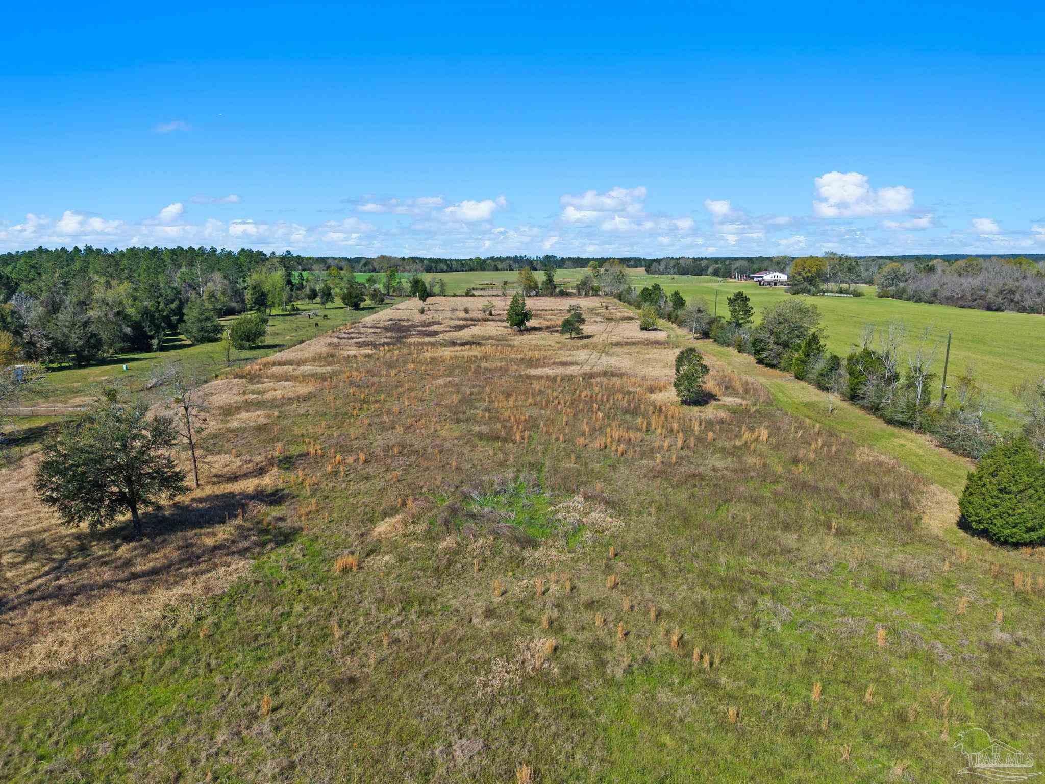 33951 & 33971 Lee Rd