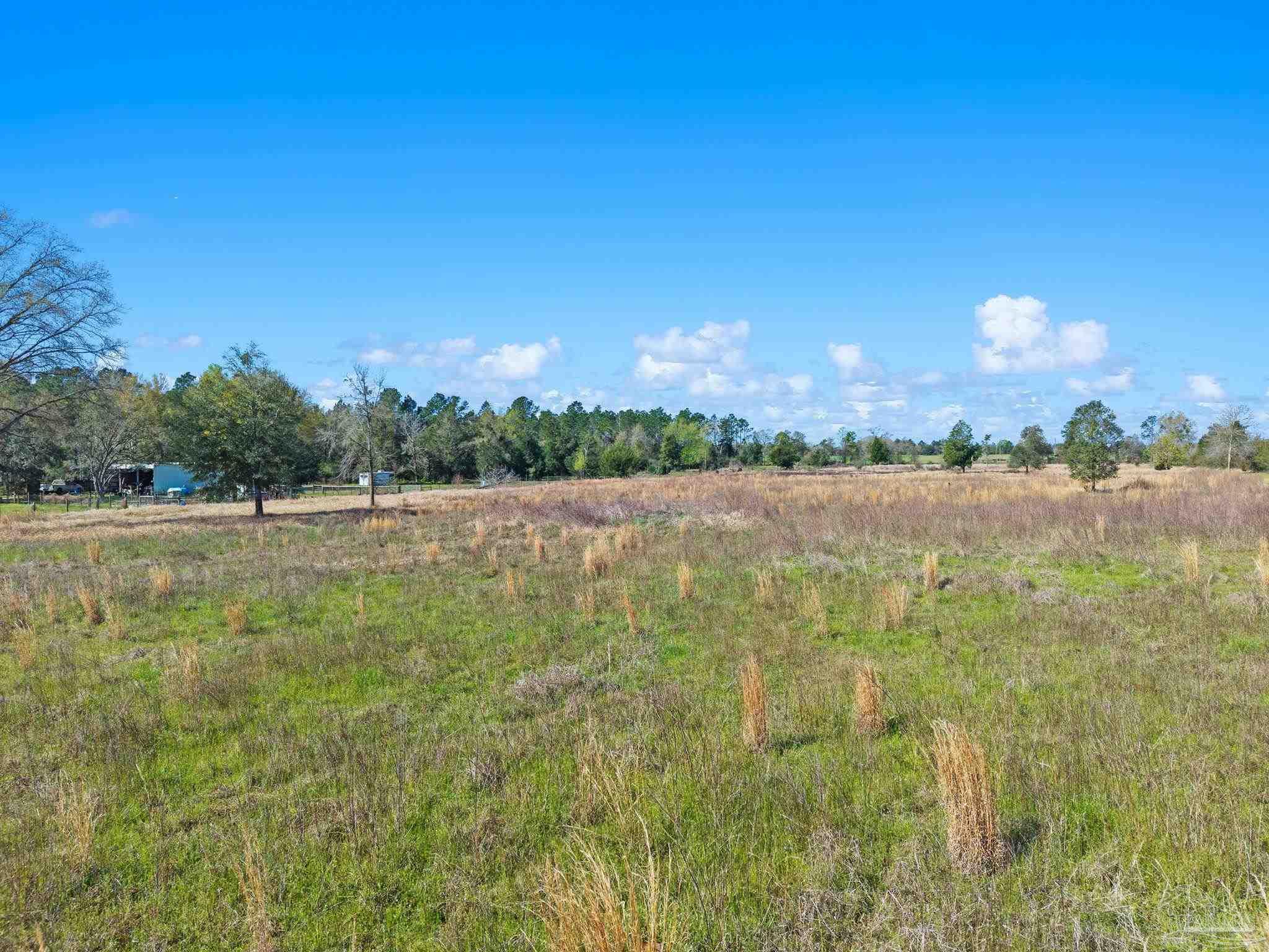 33951 & 33971 Lee Rd