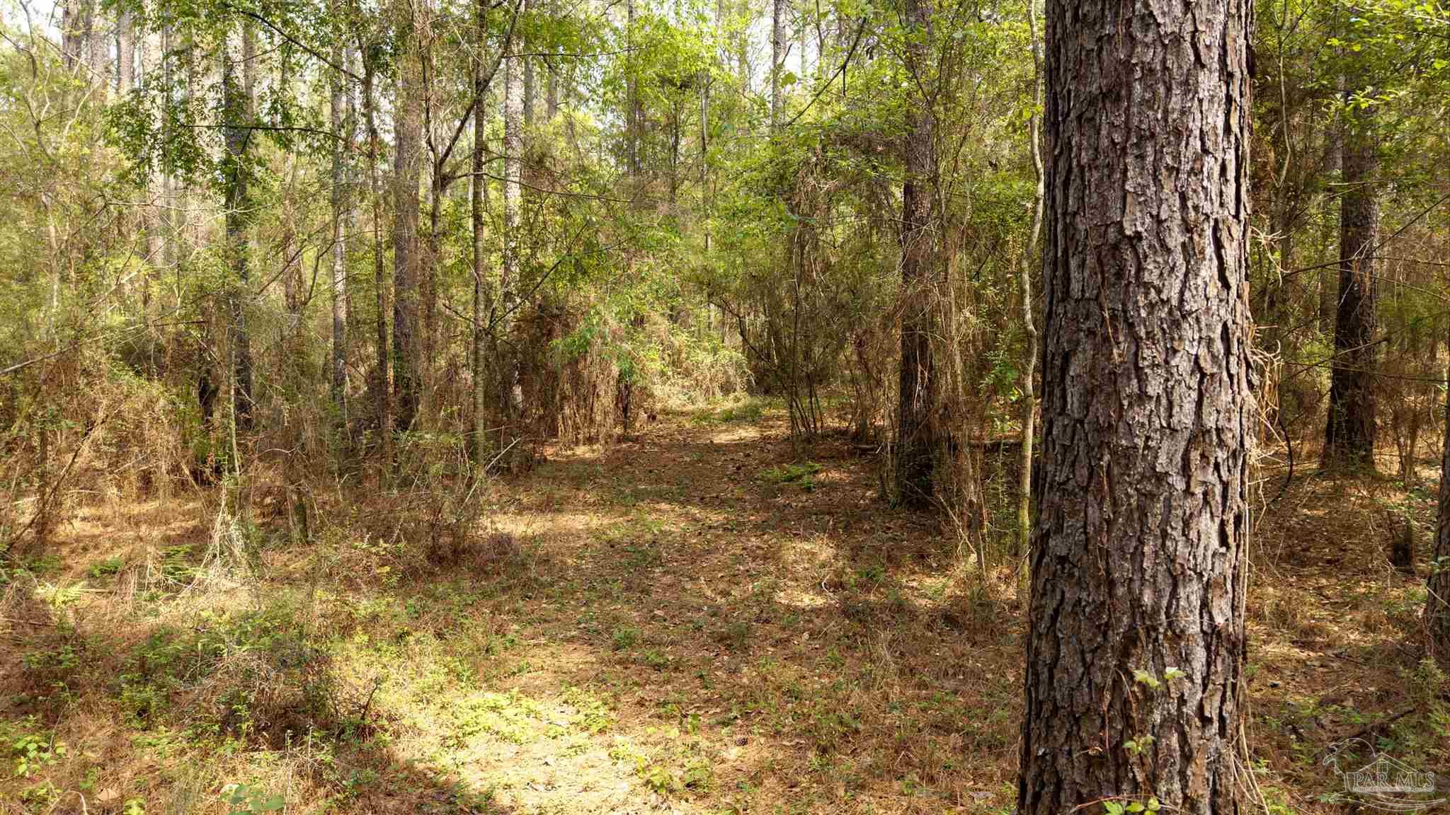 TBD Corley Rd