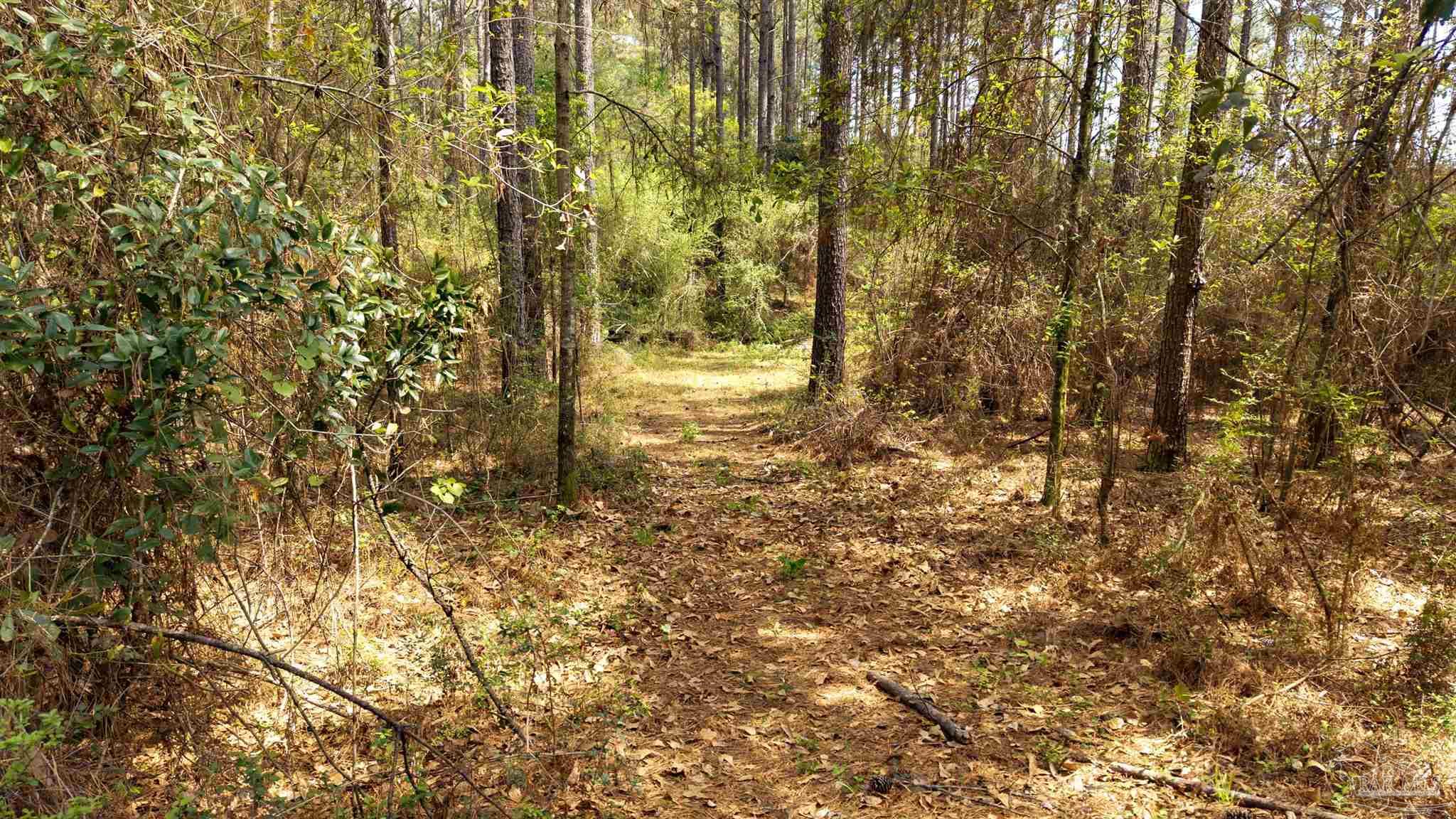 TBD Corley Rd