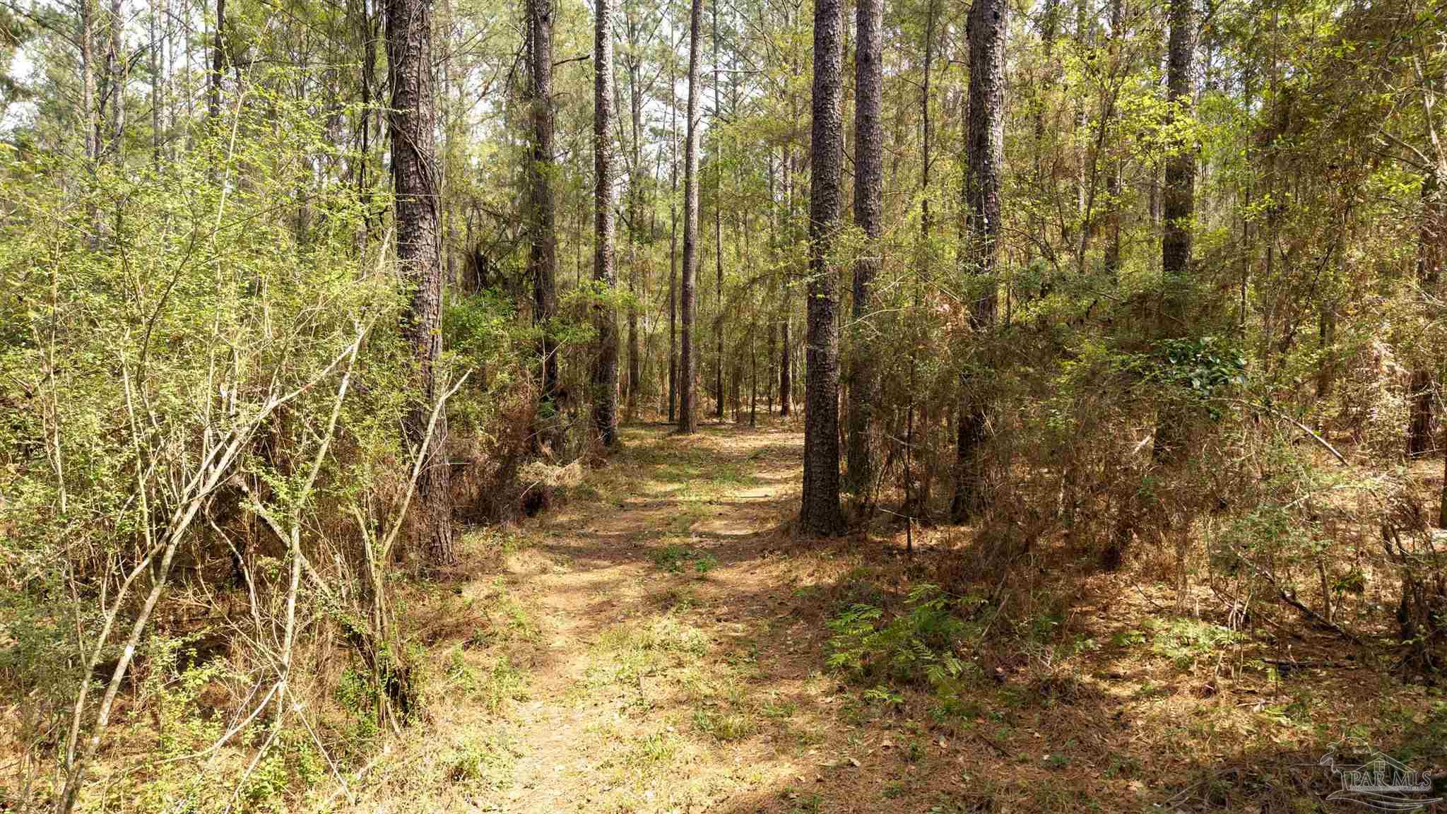 TBD Corley Rd